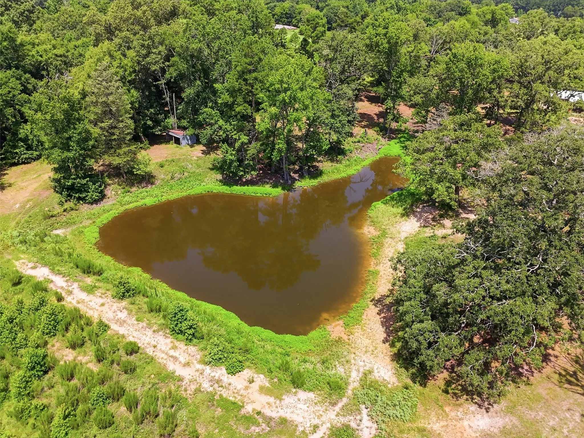 Stocked pond