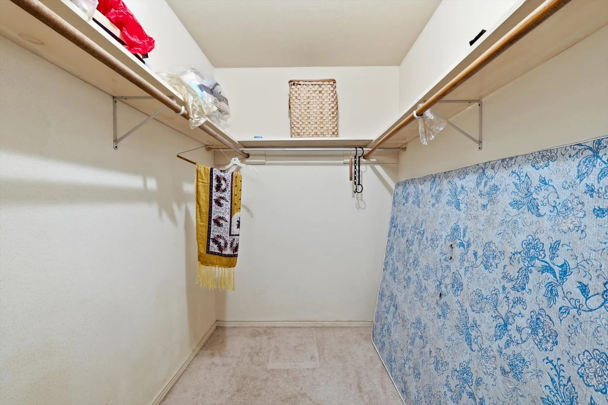 Walk-in closet featuring light beige walls, light-toned carpet flooring, built-in shelving, and clothes hanging rods