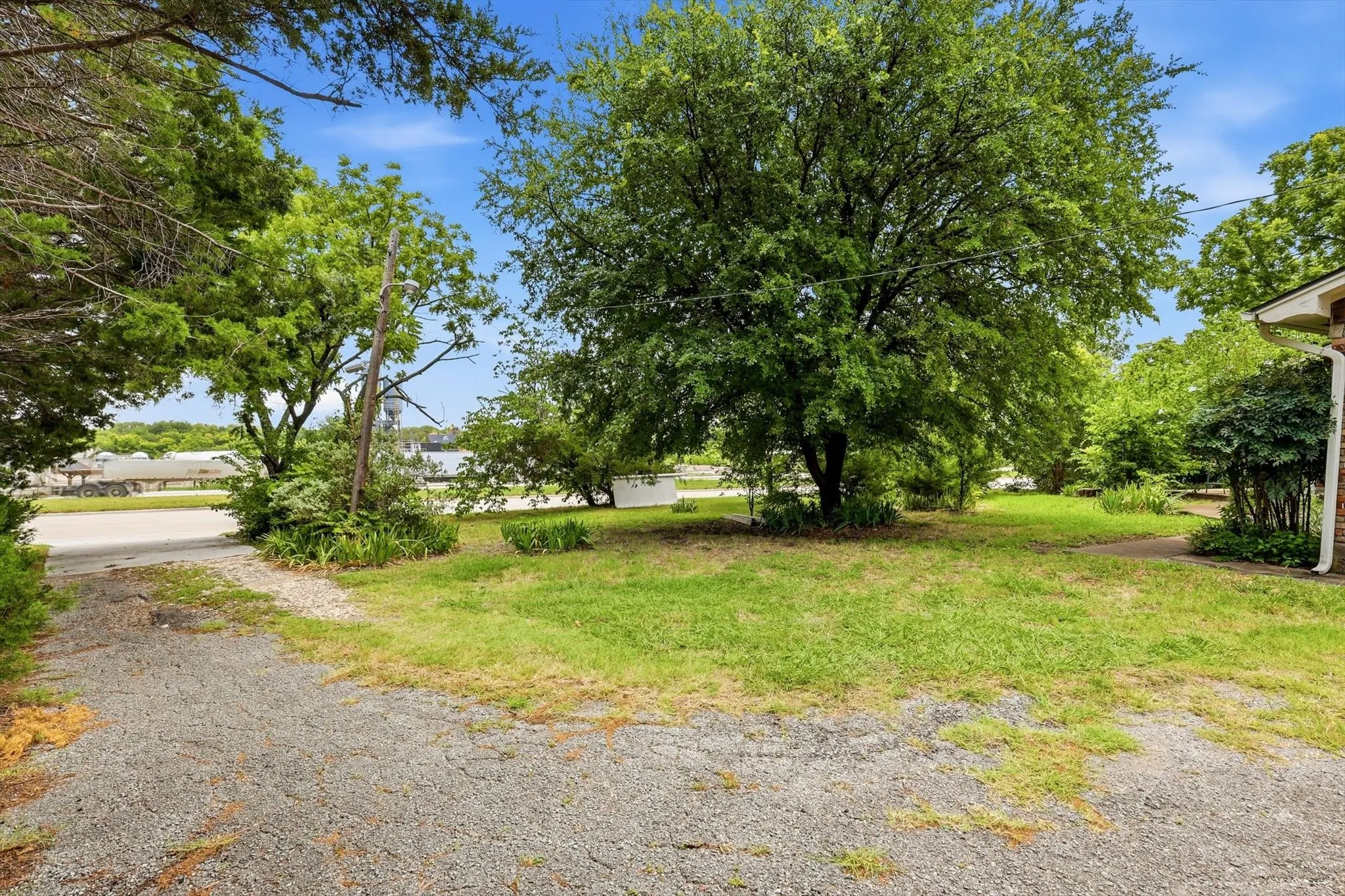 Expansive lawn area with mature trees and a gravel drive