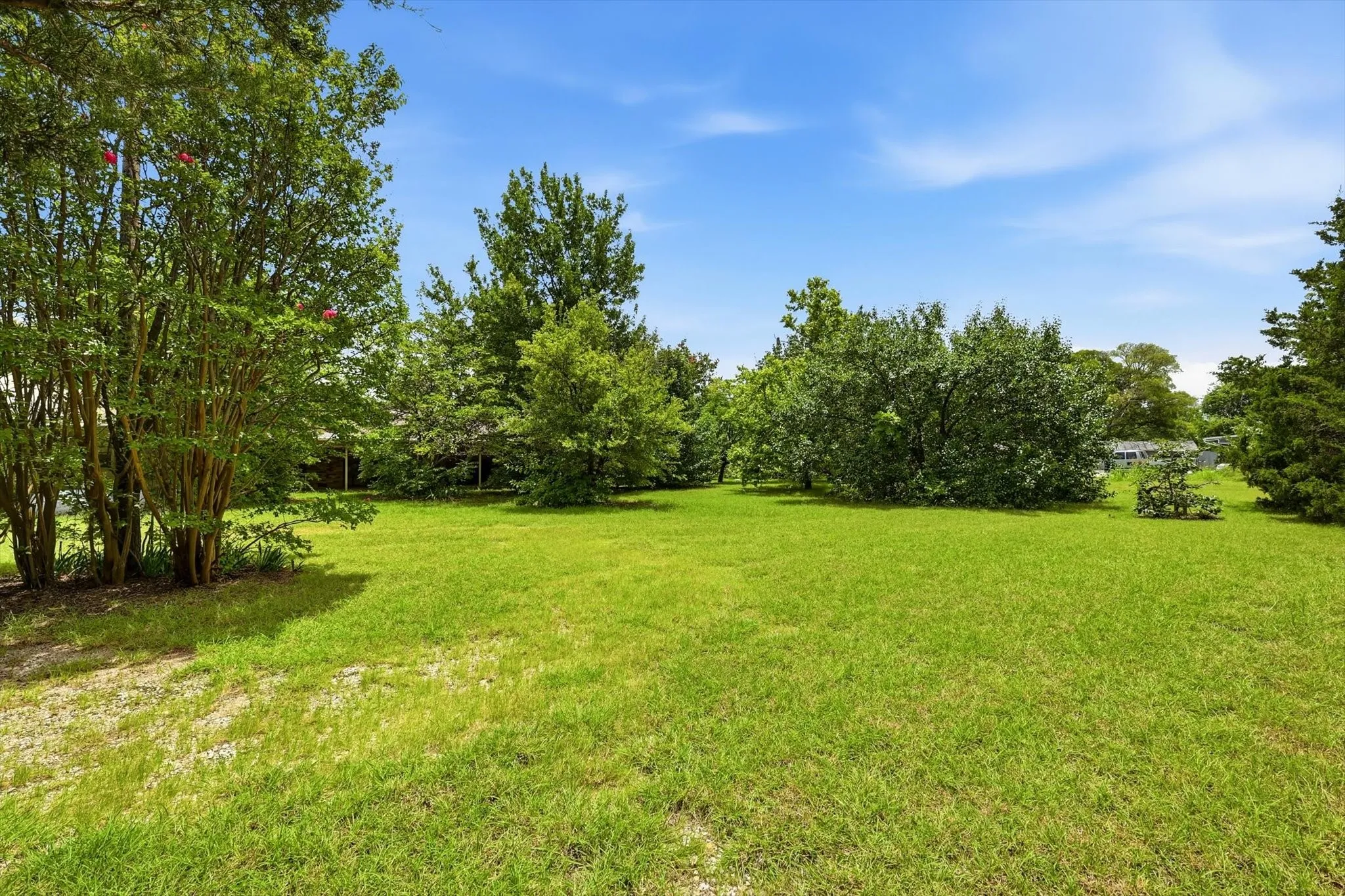 Expansive green lawn surrounded by mature trees and shrubs, offering ample open space