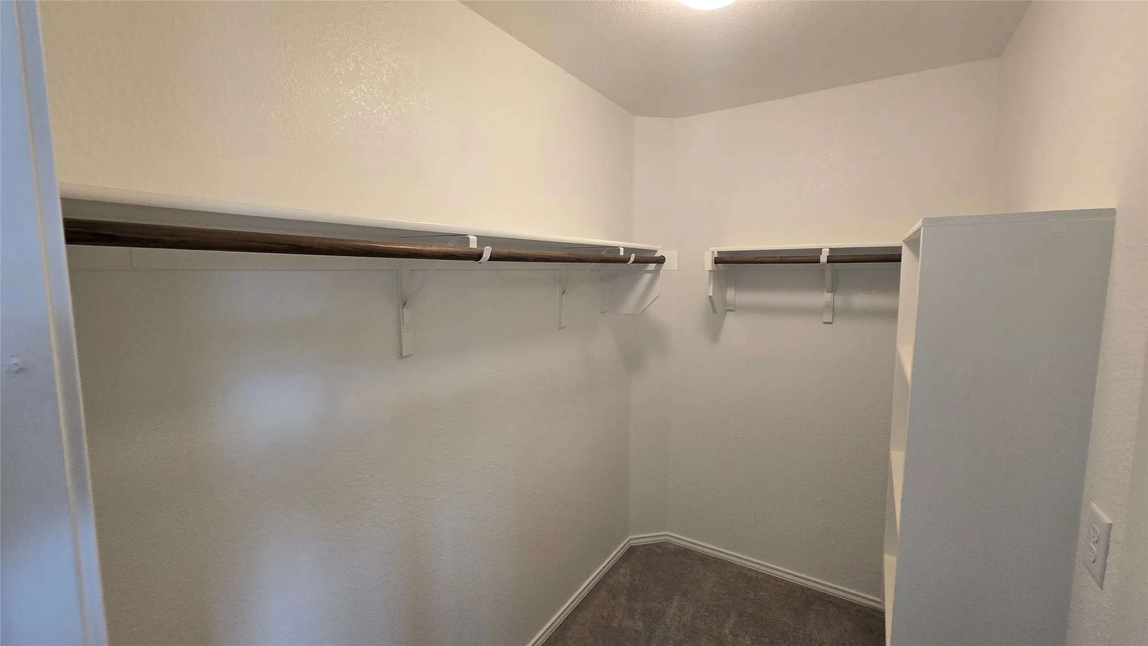 Walk-in closet featuring carpet flooring, built-in shelving, two hanging rods, and an overhead light fixture