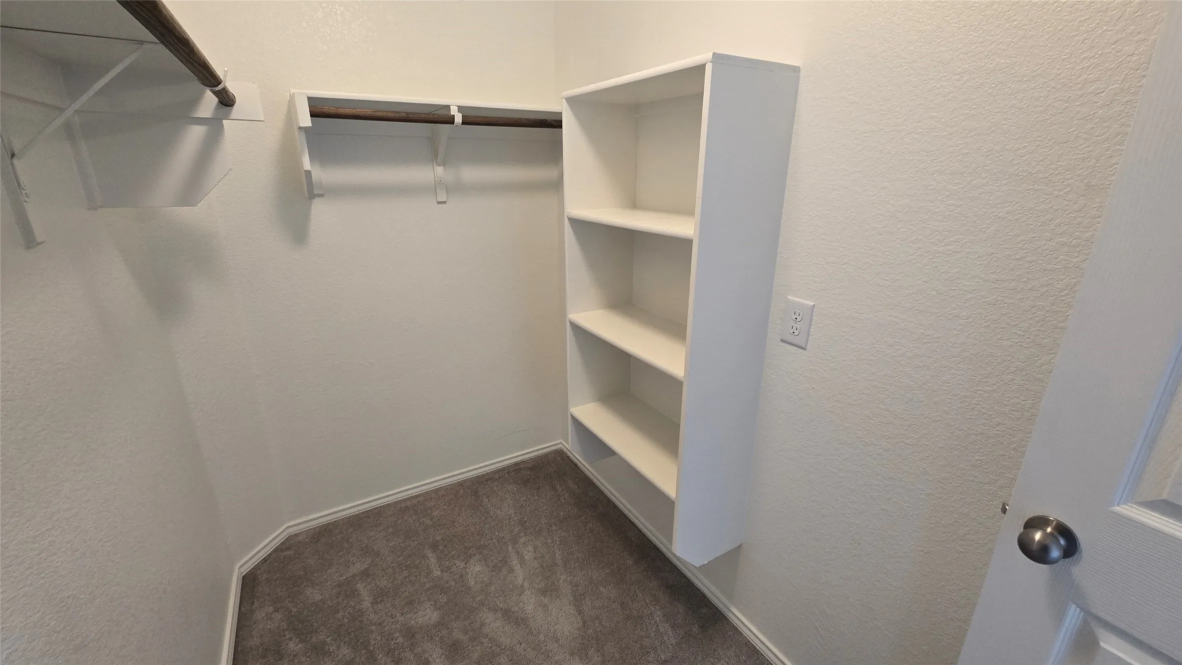 Walk-in closet featuring carpet flooring, built-in shelving, and dual hanging rods