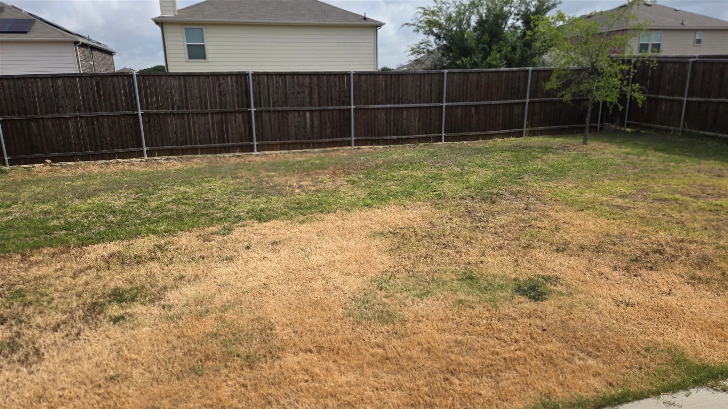 Spacious backyard featuring a full perimeter privacy fence and a small, established tree