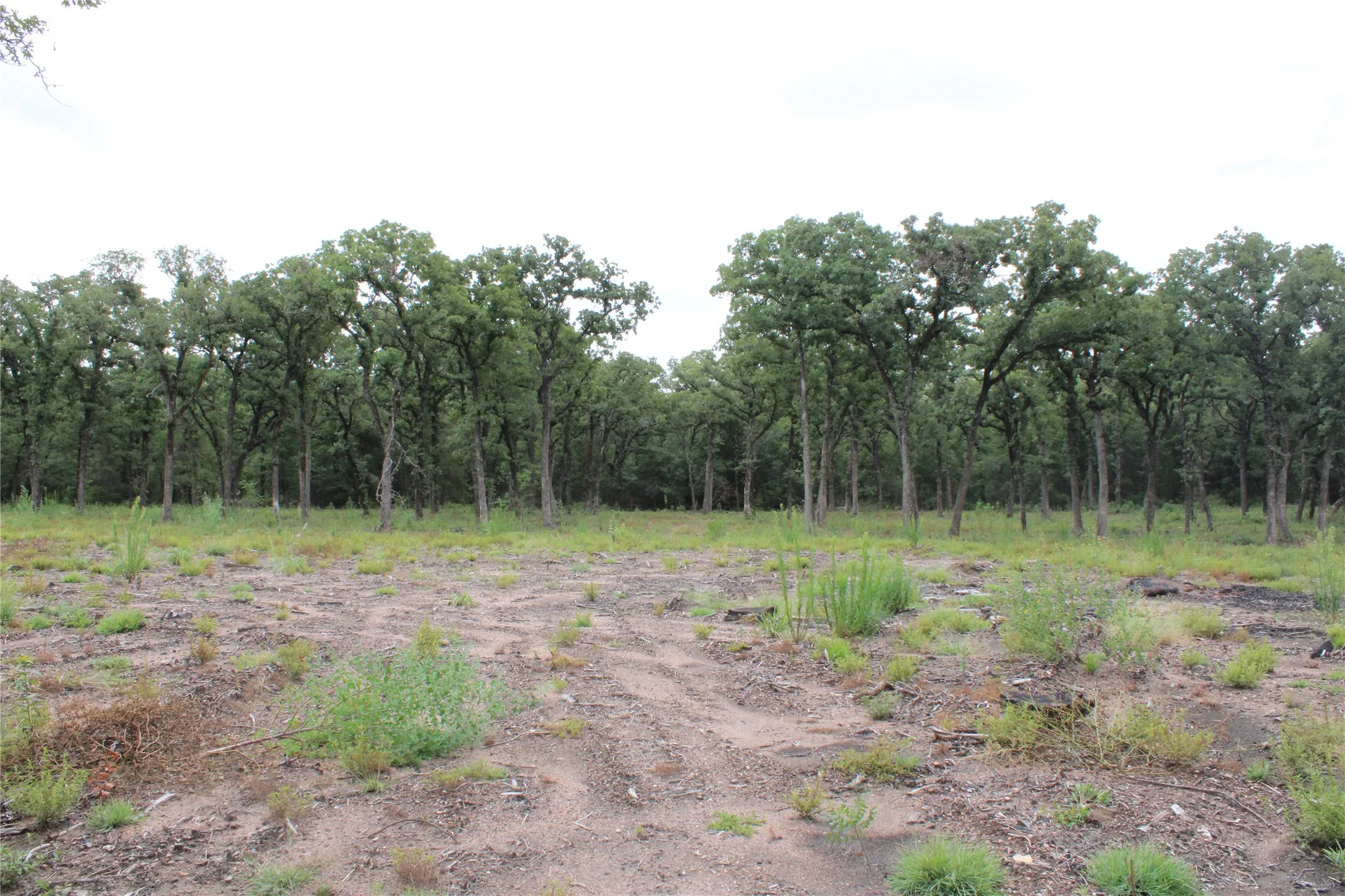 Unimproved Land For Sale in Mc Lennan County , TBD Tokio Loop, West, Texas 76691, 0, 0, Garage spaces, 0 Sqft, built in 0, mls#21334263, Real Estate Agent in West, Homes For Sale in Mc Lennan county, Homes For Sale in West, Realtor in West Texas, Real Estate Brokerage Independent Realty Texas, Luminita Cordes Realtor