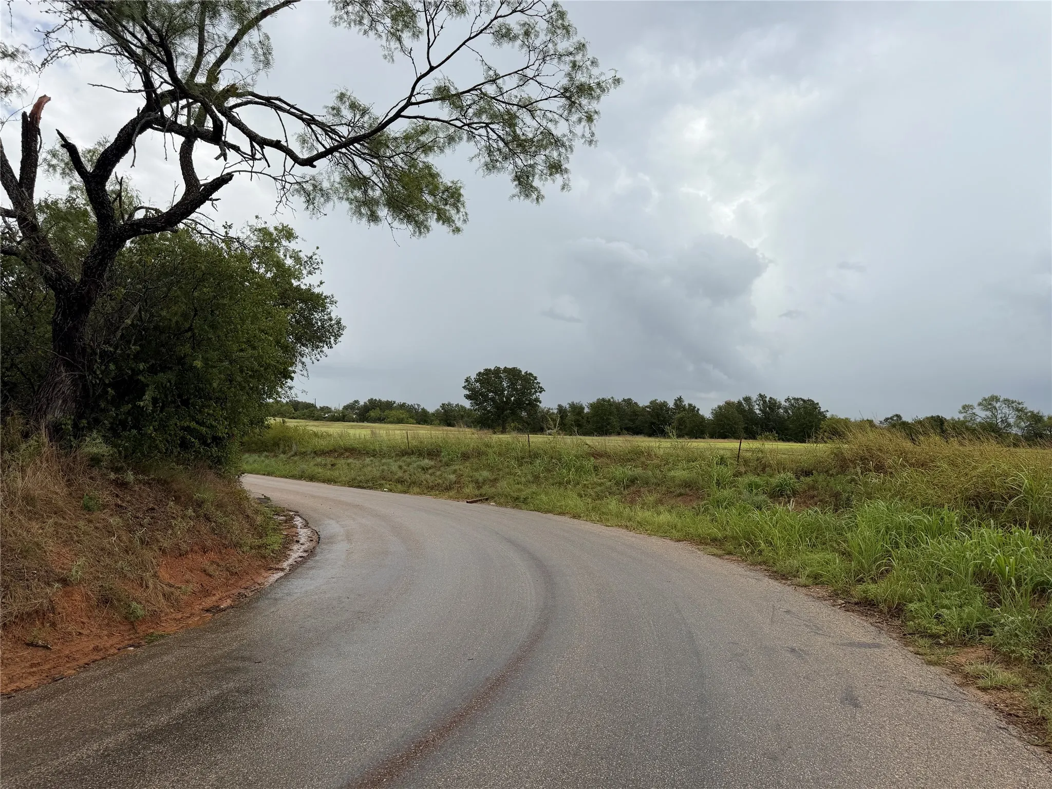 Curving asphalt road bordered by natural foliage and a field