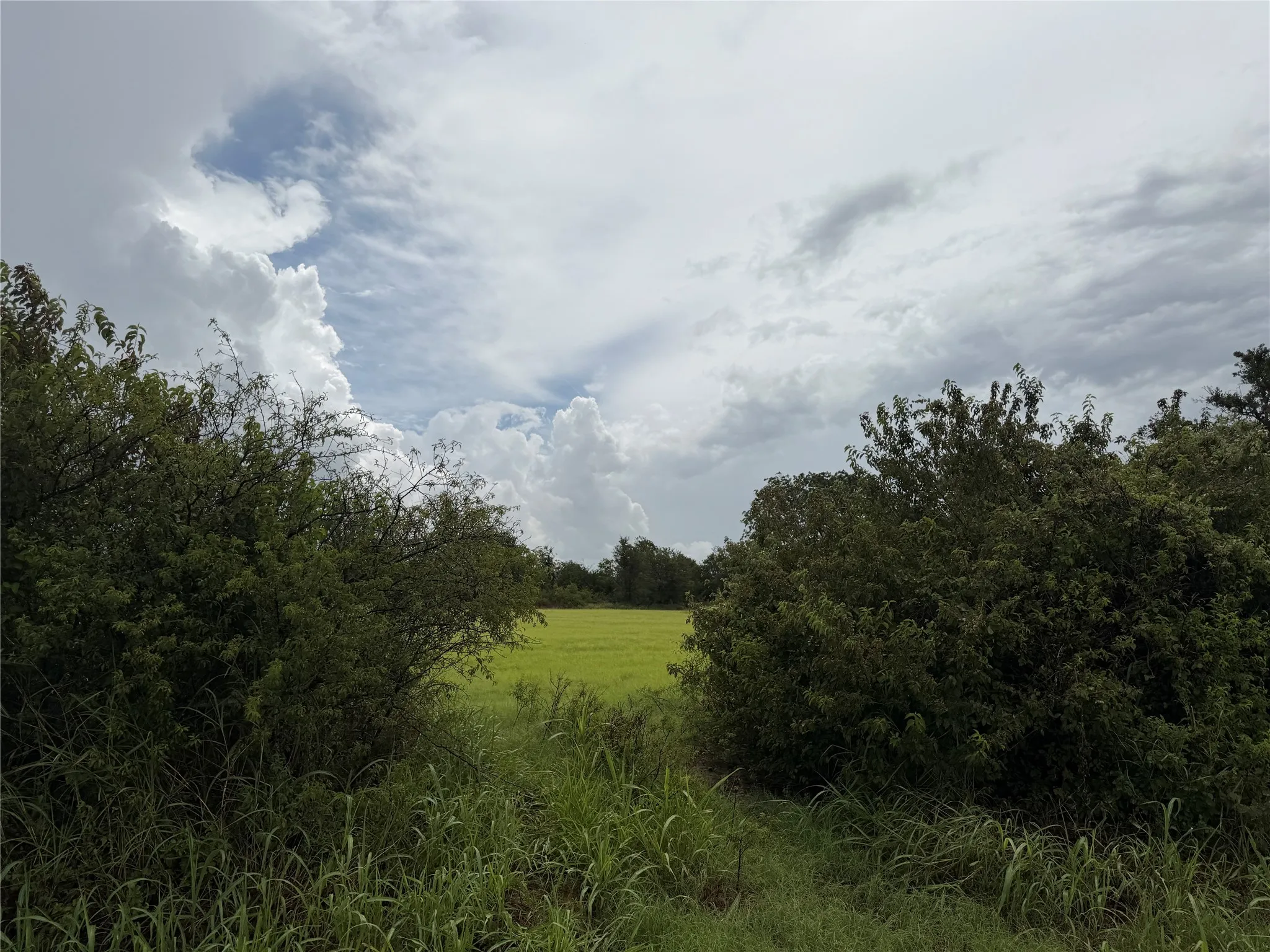Nature