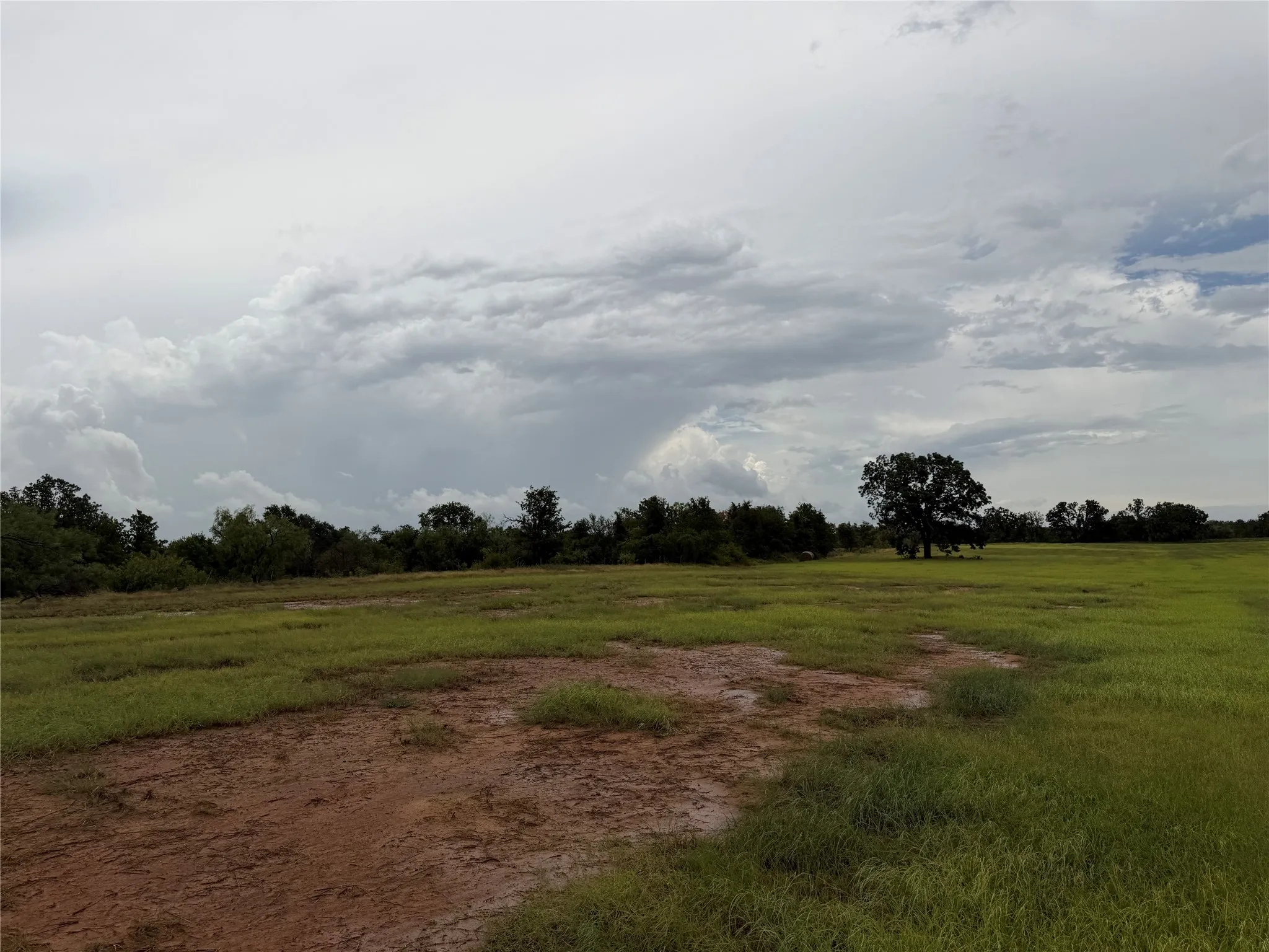 Expansive land parcel featuring open grassy areas and mature trees along the perimeter