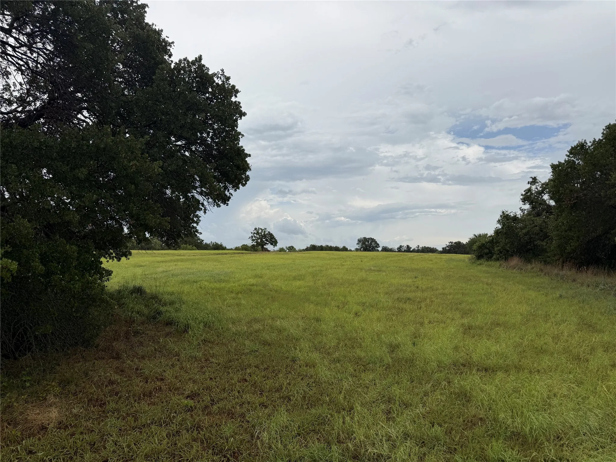 Ranch For Sale in Wise County , 0000 County Road 3681, Paradise, Texas 76073, 0, 0, Garage spaces, 0 Sqft, built in 0, Price $290,000, mls#21331913, Real Estate Agent in Paradise, Homes For Sale in Wise county, Homes For Sale in Paradise, Realtor in Paradise Texas, Real Estate Brokerage Independent Realty Texas, Luminita Cordes Realtor