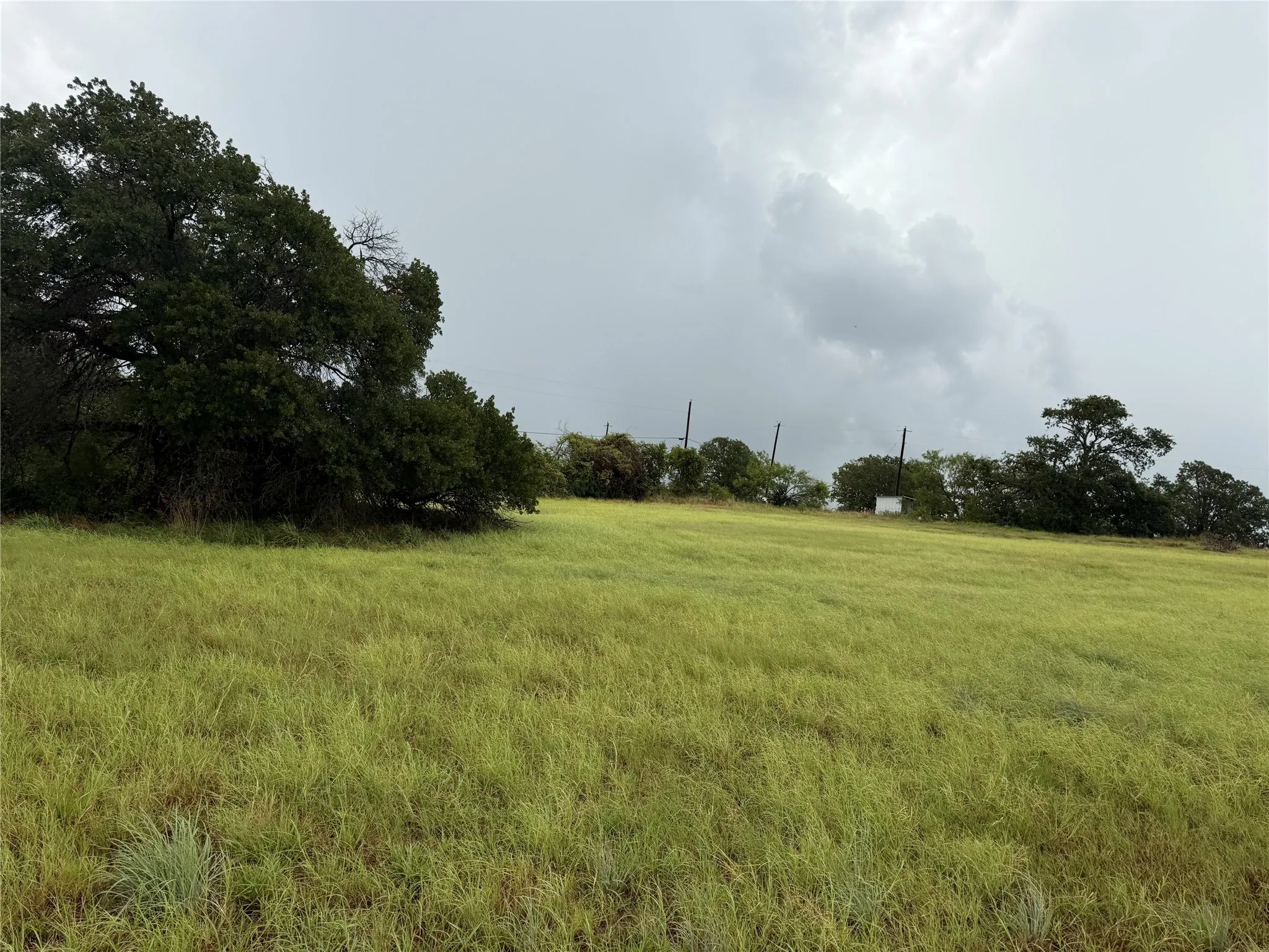 Ranch For Sale in Wise County , 0000 County Road 3681, Paradise, Texas 76073, 0, 0, Garage spaces, 0 Sqft, built in 0, Price $290,000, mls#21331913, Real Estate Agent in Paradise, Homes For Sale in Wise county, Homes For Sale in Paradise, Realtor in Paradise Texas, Real Estate Brokerage Independent Realty Texas, Luminita Cordes Realtor