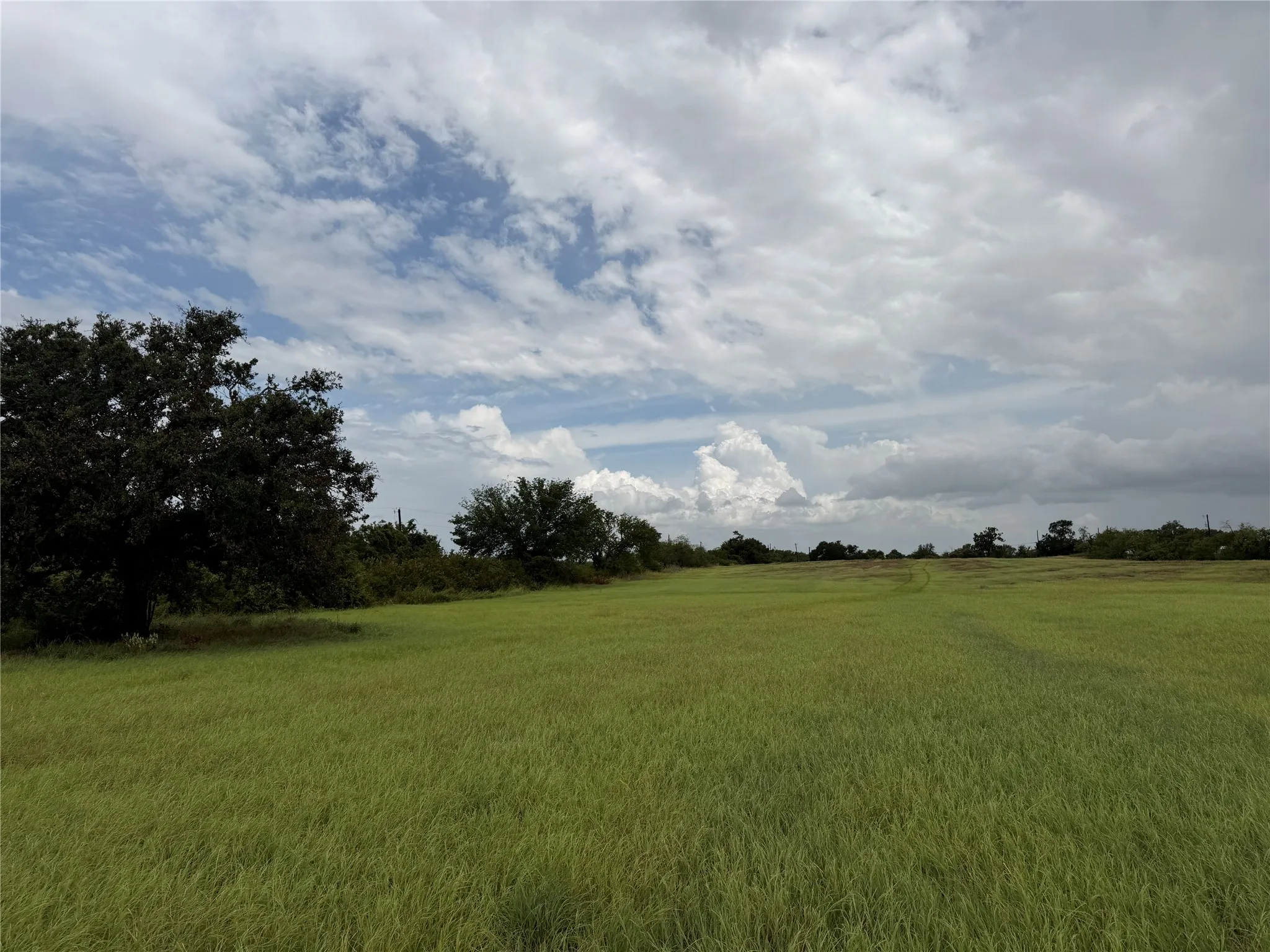Ranch For Sale in Wise County , 0000 County Road 3681, Paradise, Texas 76073, 0, 0, Garage spaces, 0 Sqft, built in 0, Price $290,000, mls#21331913, Real Estate Agent in Paradise, Homes For Sale in Wise county, Homes For Sale in Paradise, Realtor in Paradise Texas, Real Estate Brokerage Independent Realty Texas, Luminita Cordes Realtor
