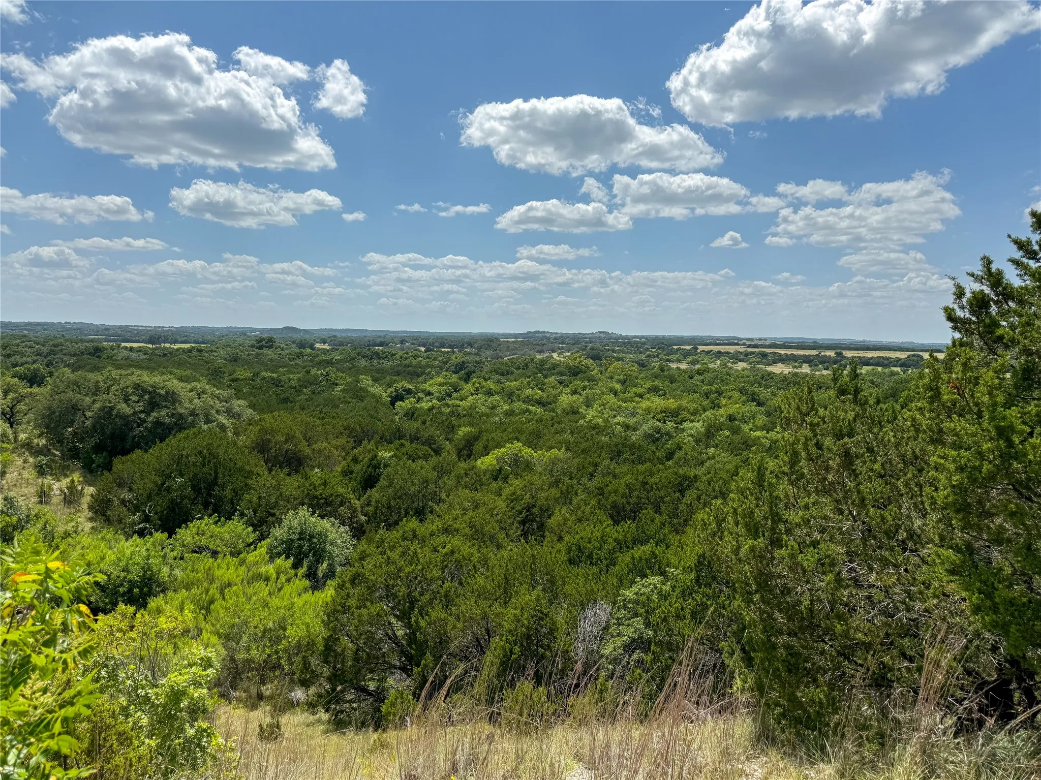 View From top of Hill on Property