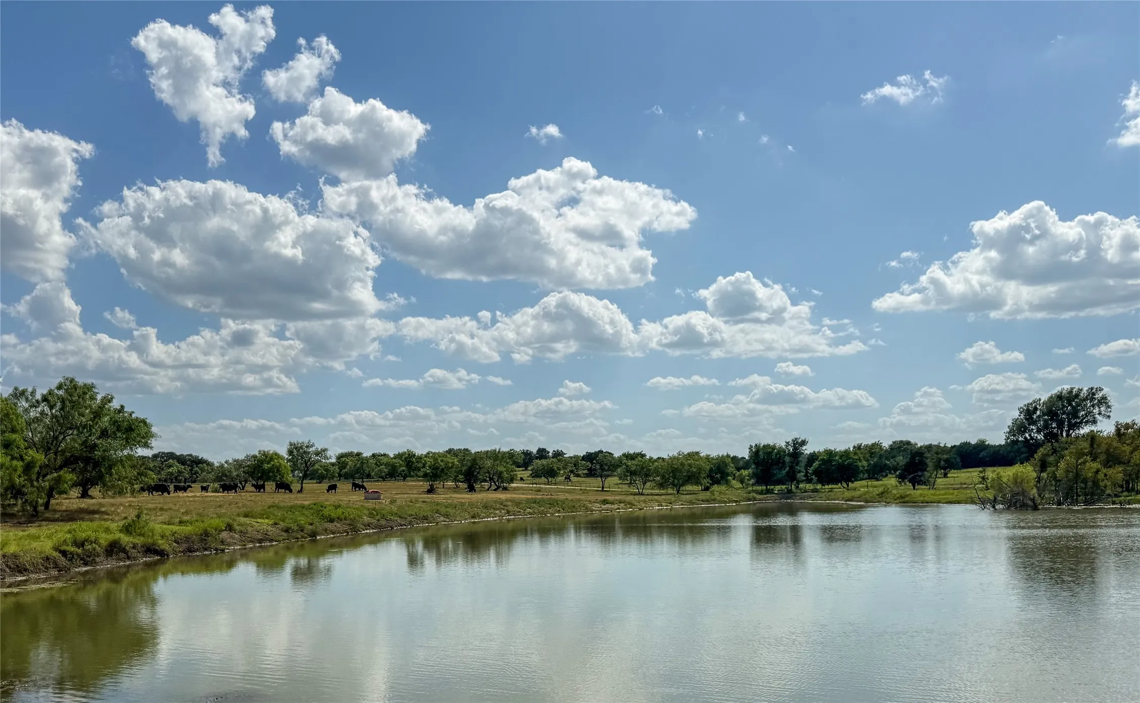 Large Stocked Pond at Entry of Property