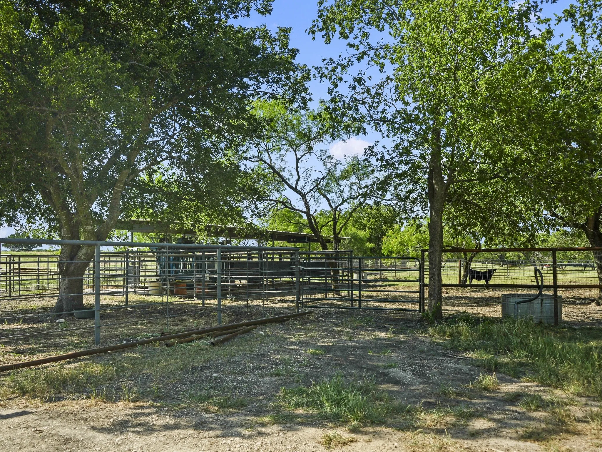 Ranch For Sale in Bosque County , 1042 Highway 174, Meridian, Texas 76665, 0, 0, Garage spaces, 0 Sqft, built in 0, Price $5,300,000, mls#21330750, Real Estate Agent in Meridian, Homes For Sale in Bosque county, Homes For Sale in Meridian, Realtor in Meridian Texas, Real Estate Brokerage Independent Realty Texas, Luminita Cordes Realtor
