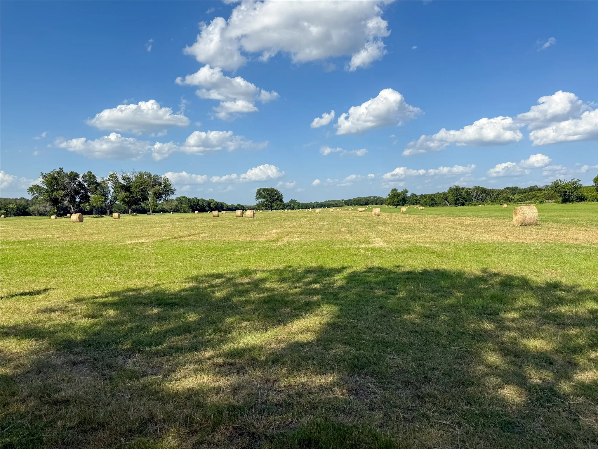Ranch For Sale in Bosque County , 1042 Highway 174, Meridian, Texas 76665, 0, 0, Garage spaces, 0 Sqft, built in 0, Price $5,300,000, mls#21330750, Real Estate Agent in Meridian, Homes For Sale in Bosque county, Homes For Sale in Meridian, Realtor in Meridian Texas, Real Estate Brokerage Independent Realty Texas, Luminita Cordes Realtor