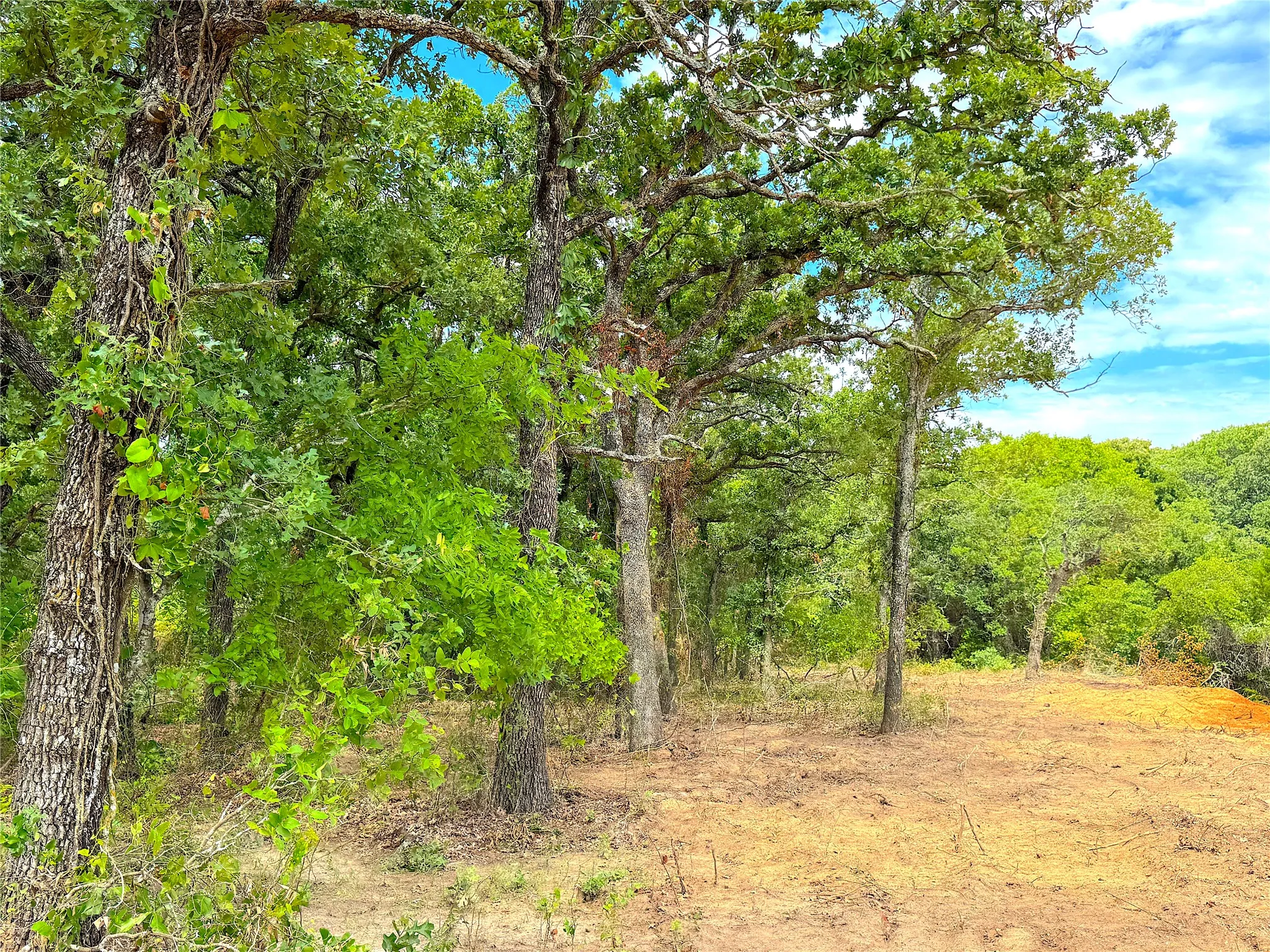 Unimproved Land For Sale in Parker County , TBD Turpin Lake Road, Poolville, Texas 76487, 0, 0, Garage spaces, 0 Sqft, built in 0, mls#21334441, Real Estate Agent in Poolville, Homes For Sale in Parker county, Homes For Sale in Poolville, Realtor in Poolville Texas, Real Estate Brokerage Independent Realty Texas, Luminita Cordes Realtor
