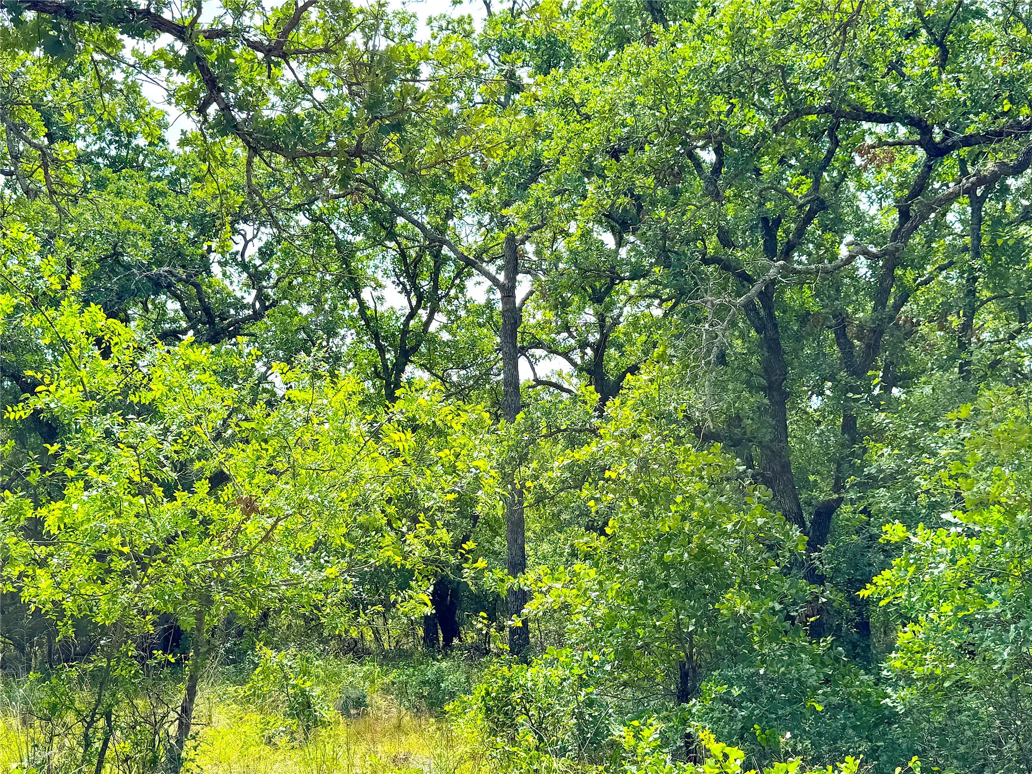Unimproved Land For Sale in Parker County , TBD Turpin Lake Road, Poolville, Texas 76487, 0, 0, Garage spaces, 0 Sqft, built in 0, mls#21334441, Real Estate Agent in Poolville, Homes For Sale in Parker county, Homes For Sale in Poolville, Realtor in Poolville Texas, Real Estate Brokerage Independent Realty Texas, Luminita Cordes Realtor