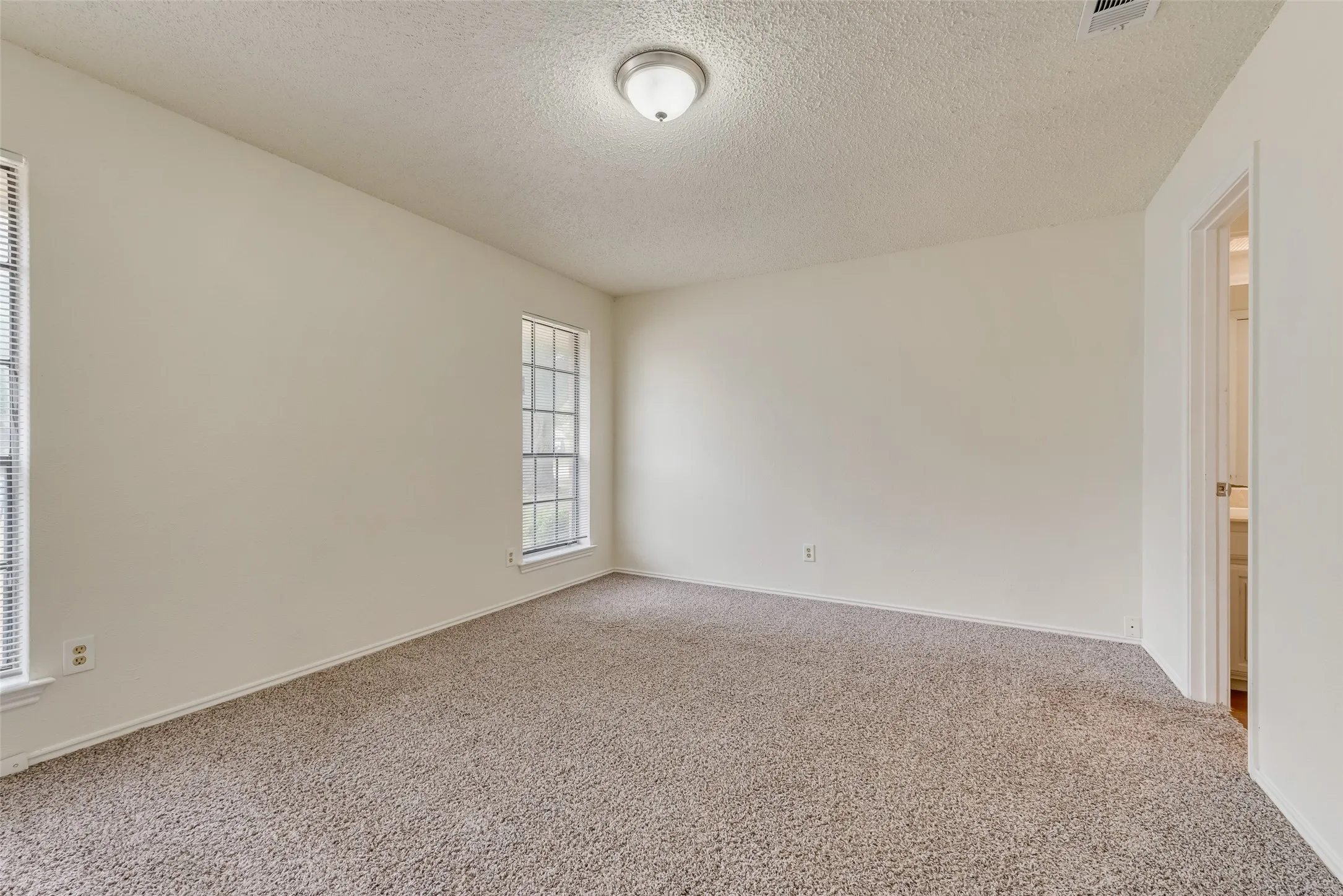 Carpeted room featuring neutral wall tones, two paneled windows with vertical blinds, a ceiling-mounted light fixture, and white trim
