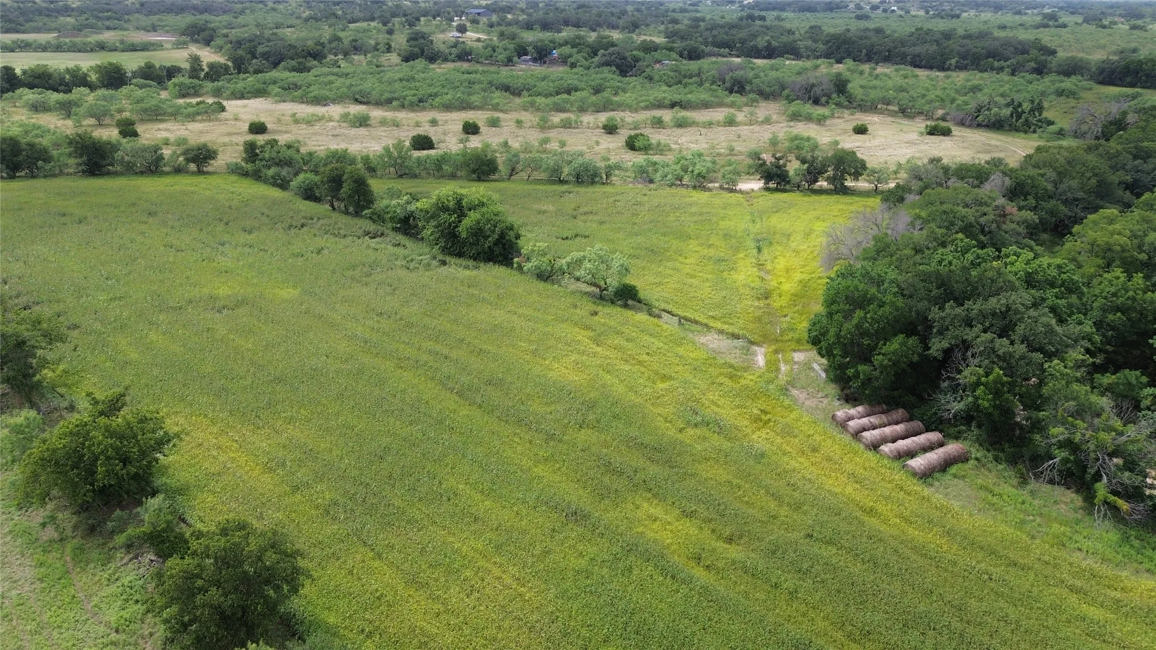 Unimproved Land For Sale in Comanche County , TBD CR 248 A, Comanche, Texas 76442, 0, 0, Garage spaces, 0 Sqft, built in 0, mls#21334469, Real Estate Agent in Comanche, Homes For Sale in Comanche county, Homes For Sale in Comanche, Realtor in Comanche Texas, Real Estate Brokerage Independent Realty Texas, Luminita Cordes Realtor