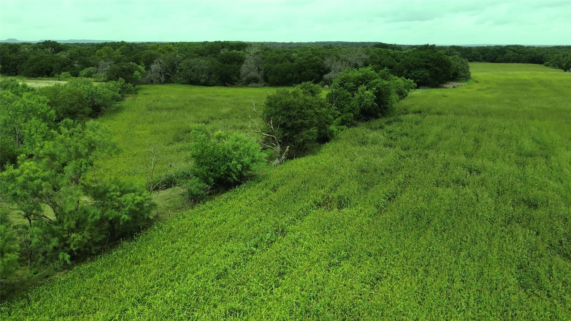 Unimproved Land For Sale in Comanche County , TBD CR 248 A, Comanche, Texas 76442, 0, 0, Garage spaces, 0 Sqft, built in 0, mls#21334469, Real Estate Agent in Comanche, Homes For Sale in Comanche county, Homes For Sale in Comanche, Realtor in Comanche Texas, Real Estate Brokerage Independent Realty Texas, Luminita Cordes Realtor