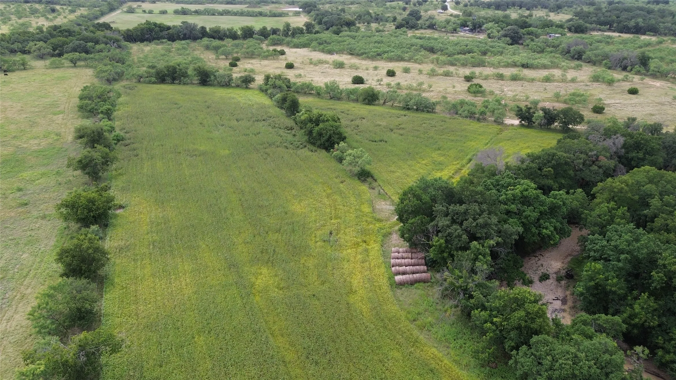 Unimproved Land For Sale in Comanche County , TBD CR 248 A, Comanche, Texas 76442, 0, 0, Garage spaces, 0 Sqft, built in 0, mls#21334469, Real Estate Agent in Comanche, Homes For Sale in Comanche county, Homes For Sale in Comanche, Realtor in Comanche Texas, Real Estate Brokerage Independent Realty Texas, Luminita Cordes Realtor