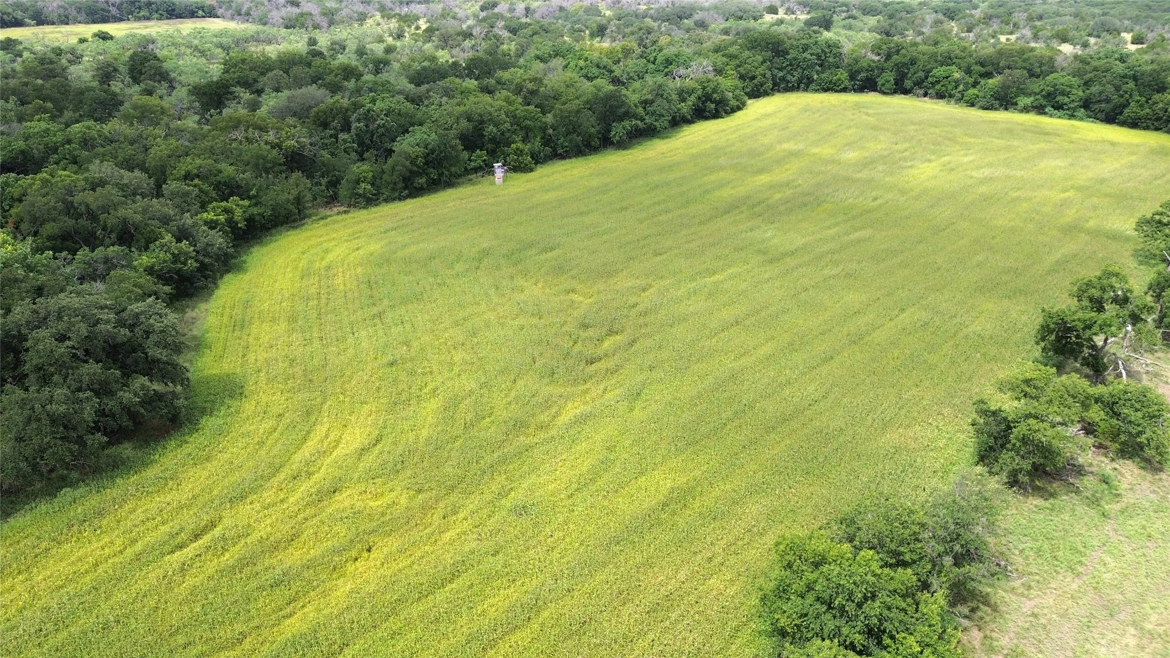 Unimproved Land For Sale in Comanche County , TBD CR 248 A, Comanche, Texas 76442, 0, 0, Garage spaces, 0 Sqft, built in 0, mls#21334469, Real Estate Agent in Comanche, Homes For Sale in Comanche county, Homes For Sale in Comanche, Realtor in Comanche Texas, Real Estate Brokerage Independent Realty Texas, Luminita Cordes Realtor