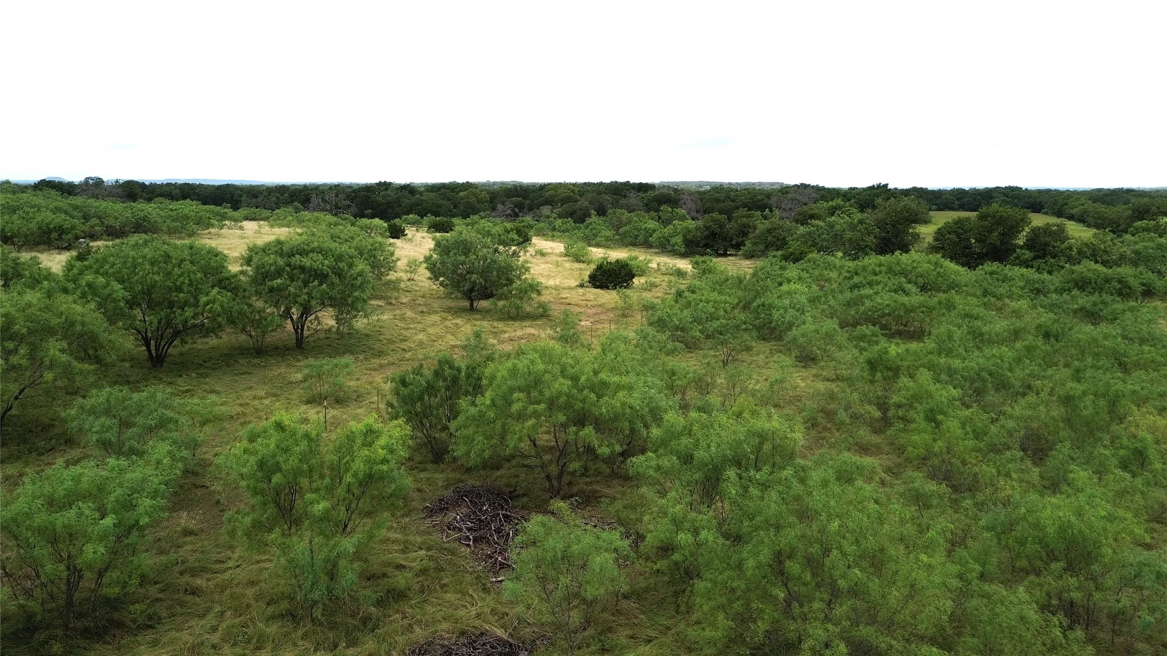 Unimproved Land For Sale in Comanche County , TBD CR 248 A, Comanche, Texas 76442, 0, 0, Garage spaces, 0 Sqft, built in 0, mls#21334469, Real Estate Agent in Comanche, Homes For Sale in Comanche county, Homes For Sale in Comanche, Realtor in Comanche Texas, Real Estate Brokerage Independent Realty Texas, Luminita Cordes Realtor