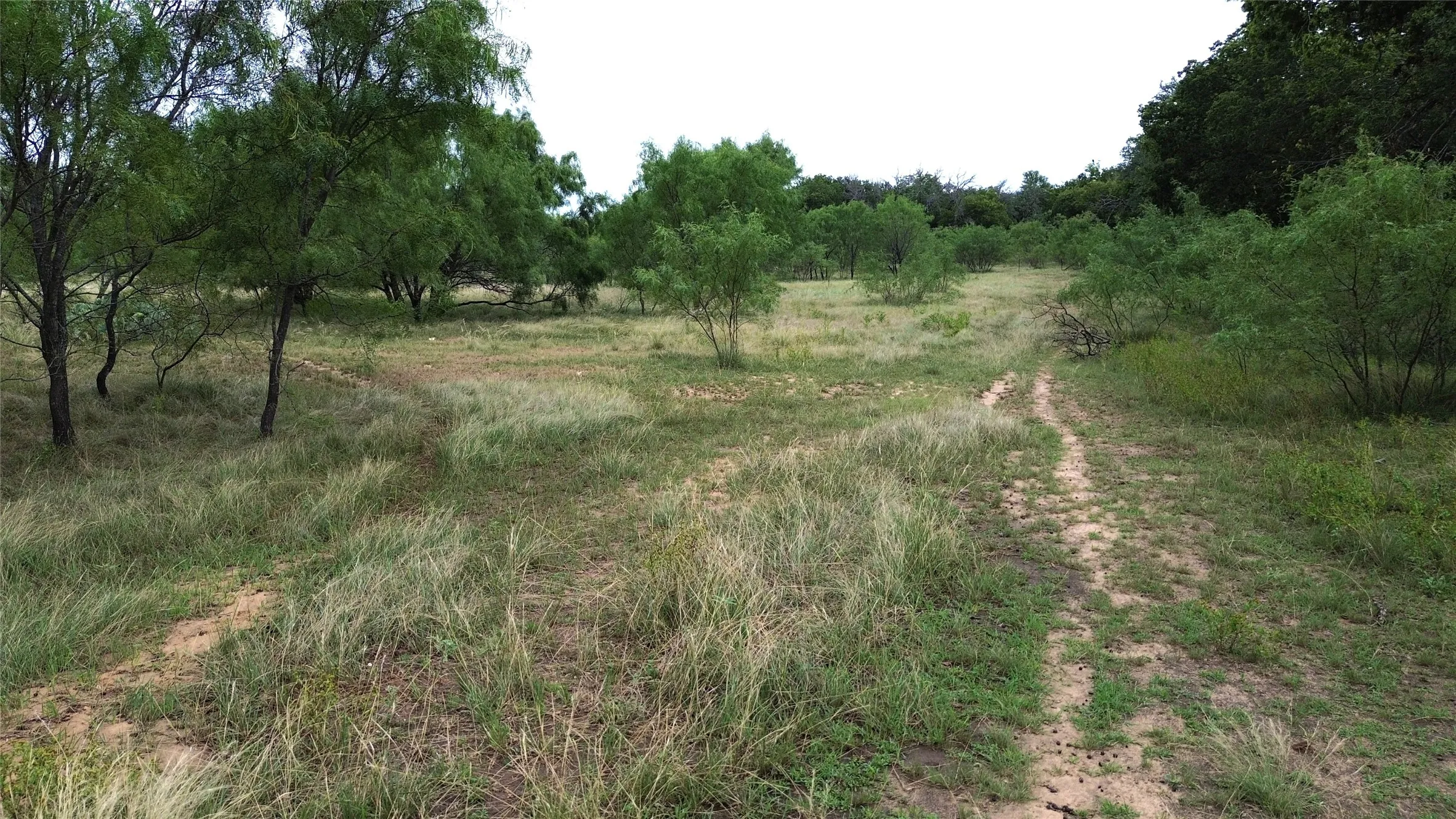 Unimproved Land For Sale in Comanche County , TBD CR 248 A, Comanche, Texas 76442, 0, 0, Garage spaces, 0 Sqft, built in 0, mls#21334469, Real Estate Agent in Comanche, Homes For Sale in Comanche county, Homes For Sale in Comanche, Realtor in Comanche Texas, Real Estate Brokerage Independent Realty Texas, Luminita Cordes Realtor
