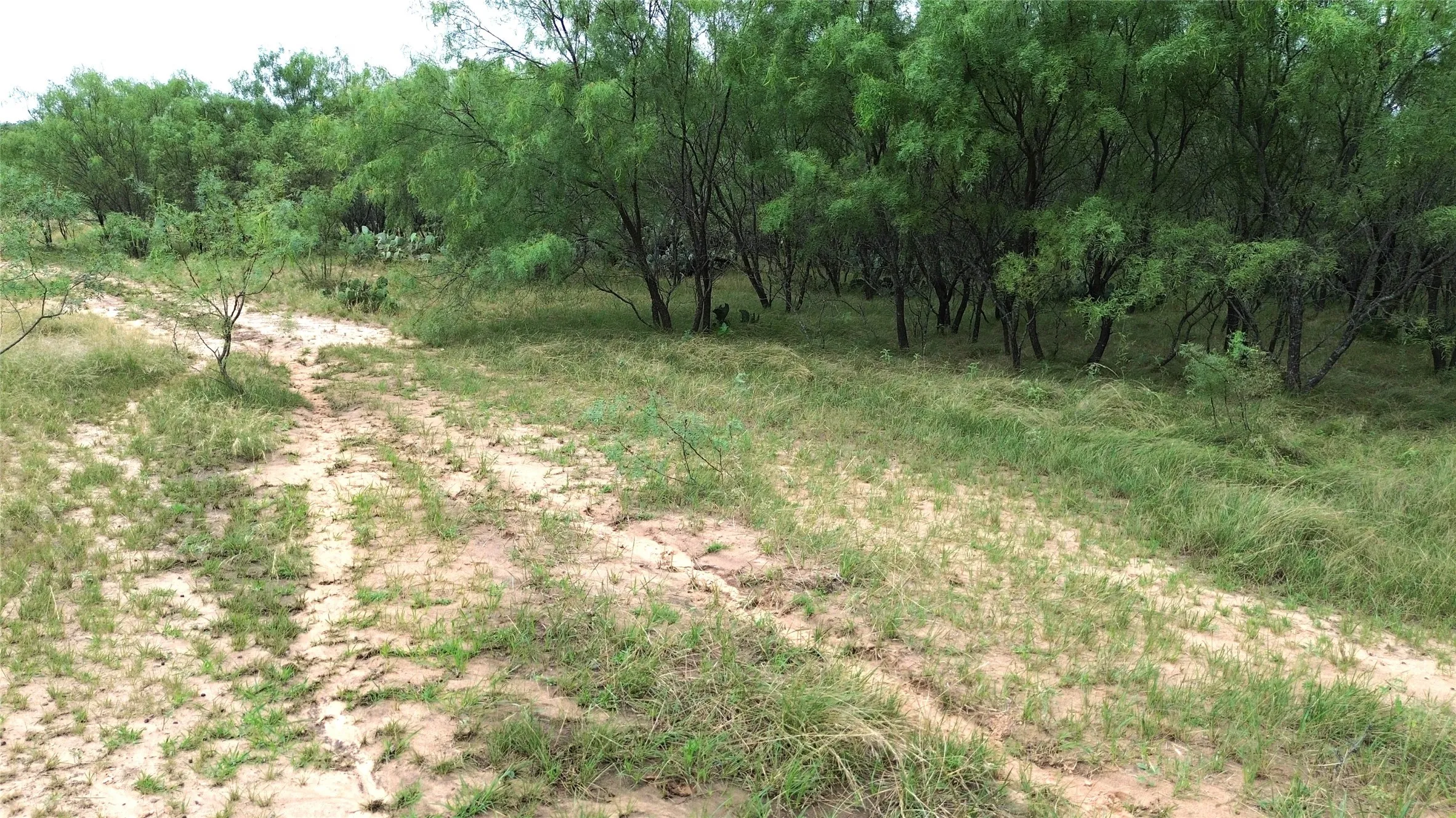 Unimproved Land For Sale in Comanche County , TBD CR 248 A, Comanche, Texas 76442, 0, 0, Garage spaces, 0 Sqft, built in 0, mls#21334469, Real Estate Agent in Comanche, Homes For Sale in Comanche county, Homes For Sale in Comanche, Realtor in Comanche Texas, Real Estate Brokerage Independent Realty Texas, Luminita Cordes Realtor