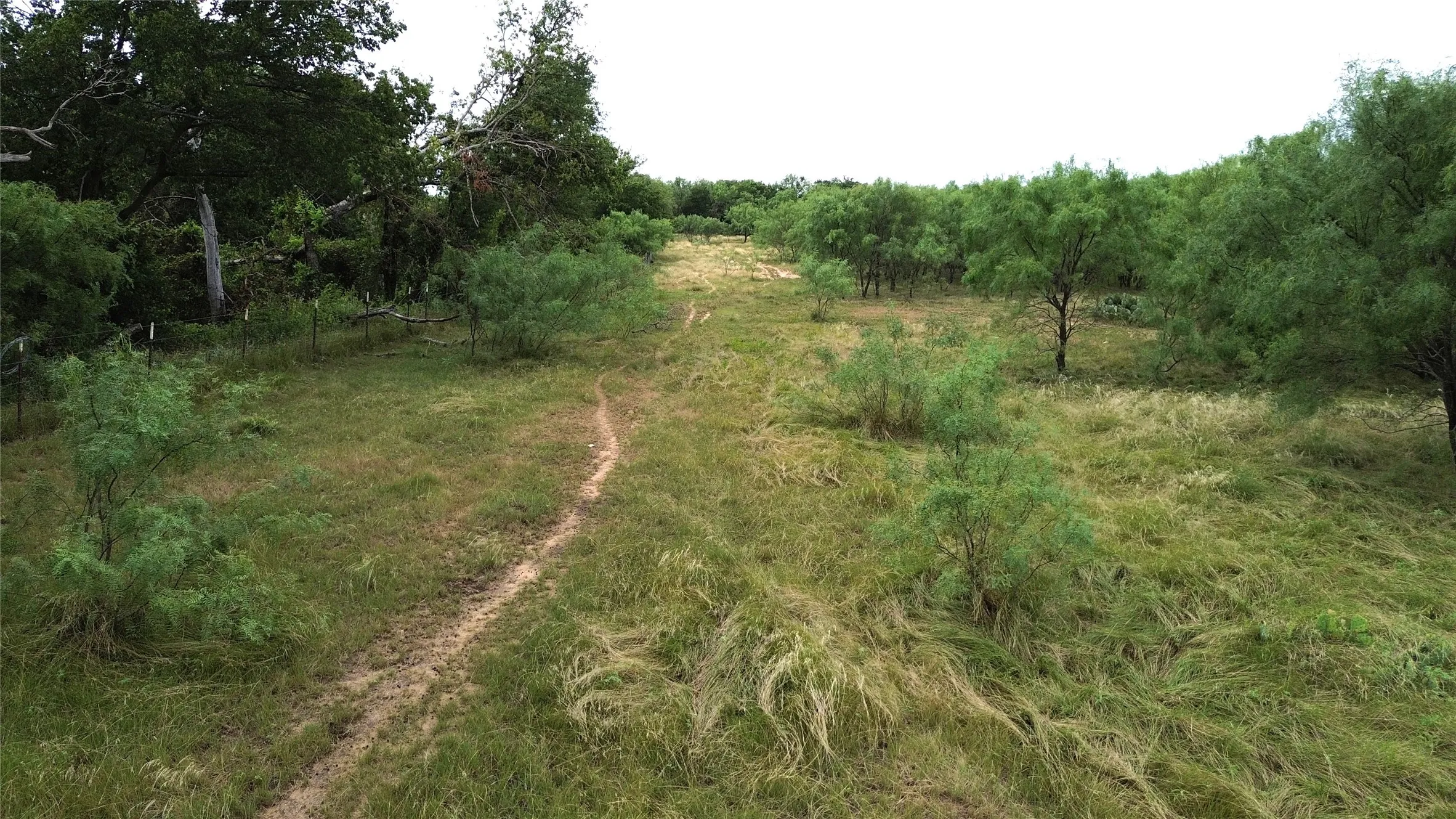Unimproved Land For Sale in Comanche County , TBD CR 248 A, Comanche, Texas 76442, 0, 0, Garage spaces, 0 Sqft, built in 0, mls#21334469, Real Estate Agent in Comanche, Homes For Sale in Comanche county, Homes For Sale in Comanche, Realtor in Comanche Texas, Real Estate Brokerage Independent Realty Texas, Luminita Cordes Realtor