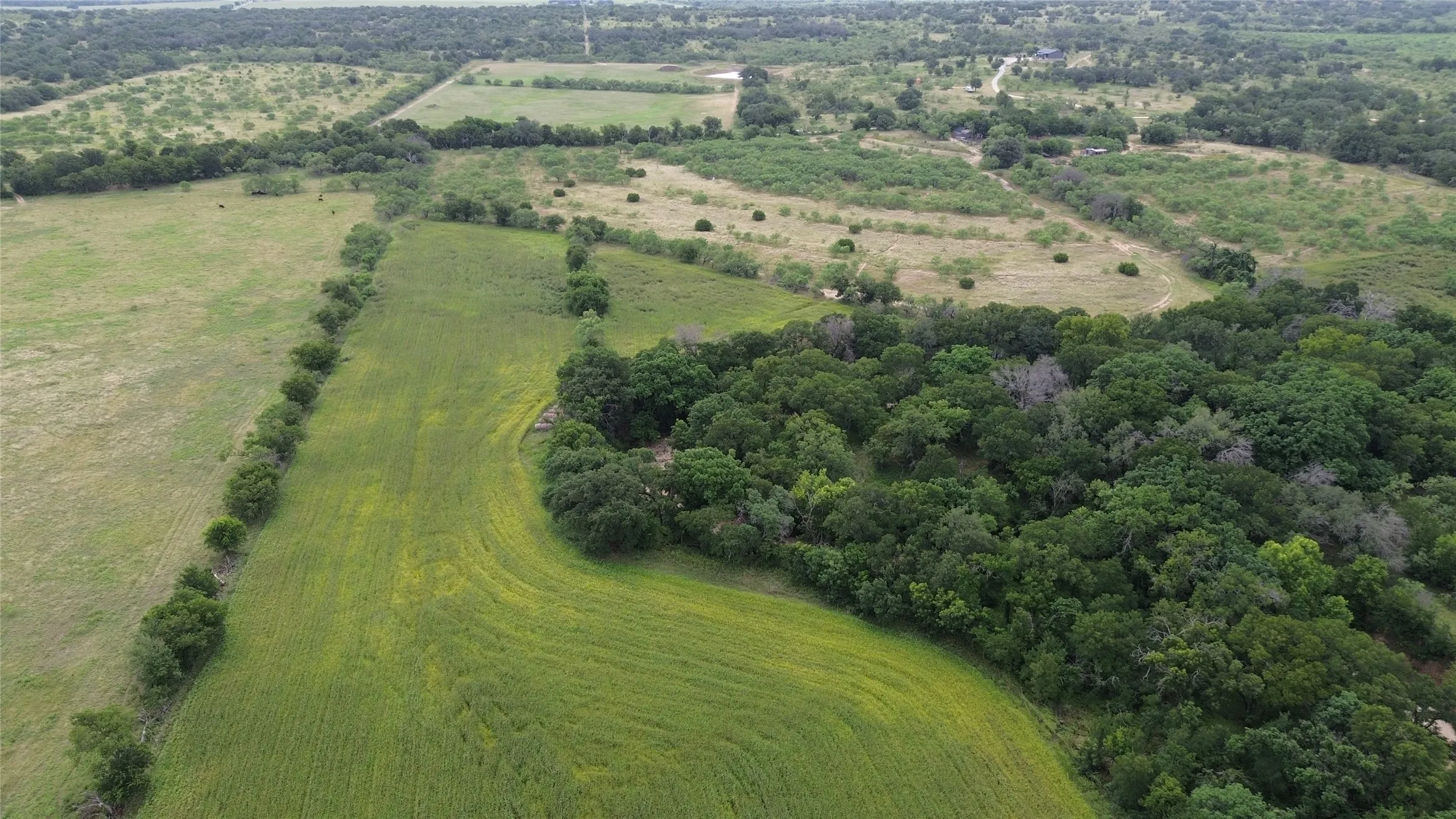 Unimproved Land For Sale in Comanche County , TBD CR 248 A, Comanche, Texas 76442, 0, 0, Garage spaces, 0 Sqft, built in 0, mls#21334469, Real Estate Agent in Comanche, Homes For Sale in Comanche county, Homes For Sale in Comanche, Realtor in Comanche Texas, Real Estate Brokerage Independent Realty Texas, Luminita Cordes Realtor