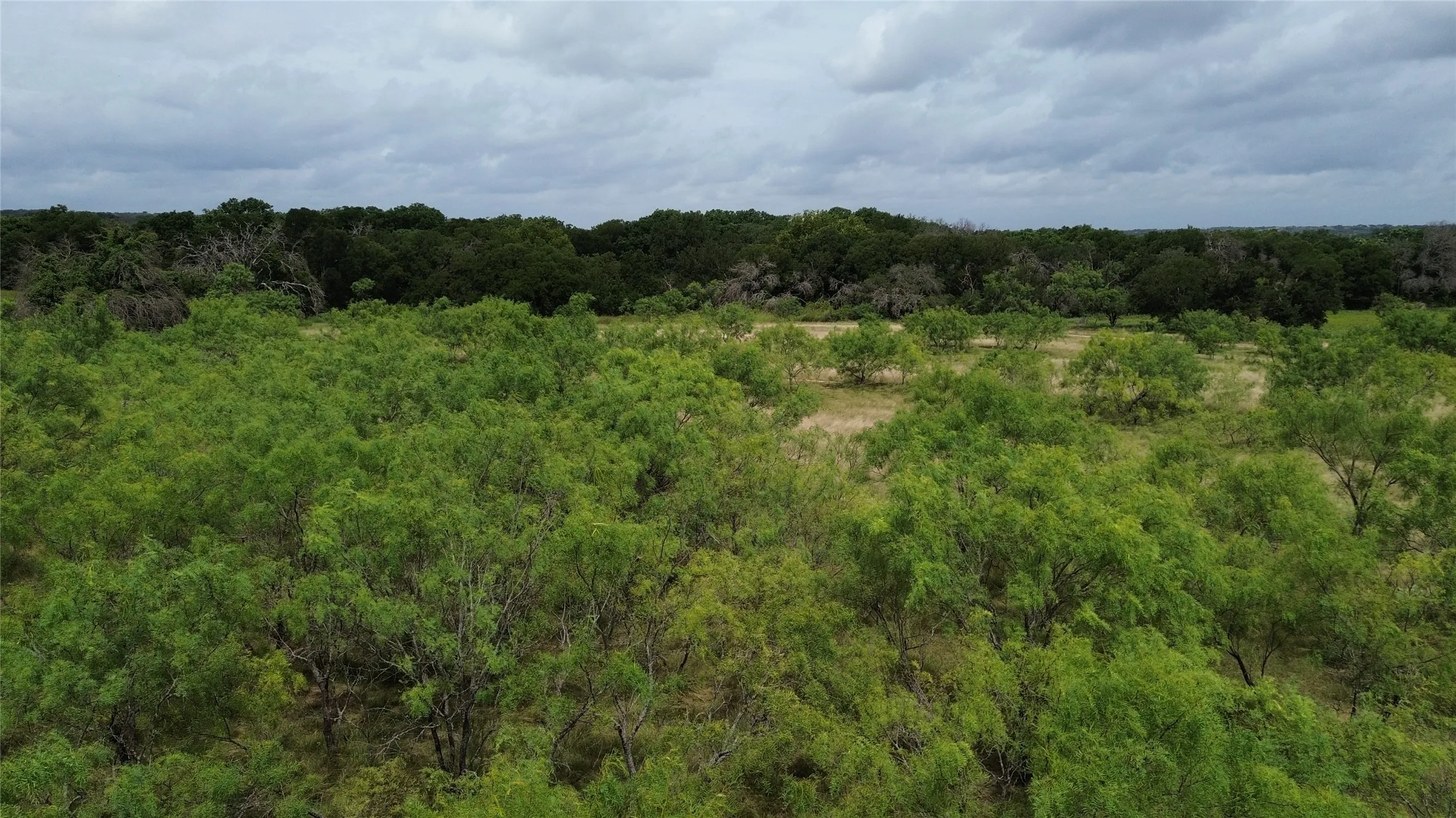 Unimproved Land For Sale in Comanche County , TBD CR 248 A, Comanche, Texas 76442, 0, 0, Garage spaces, 0 Sqft, built in 0, mls#21334469, Real Estate Agent in Comanche, Homes For Sale in Comanche county, Homes For Sale in Comanche, Realtor in Comanche Texas, Real Estate Brokerage Independent Realty Texas, Luminita Cordes Realtor