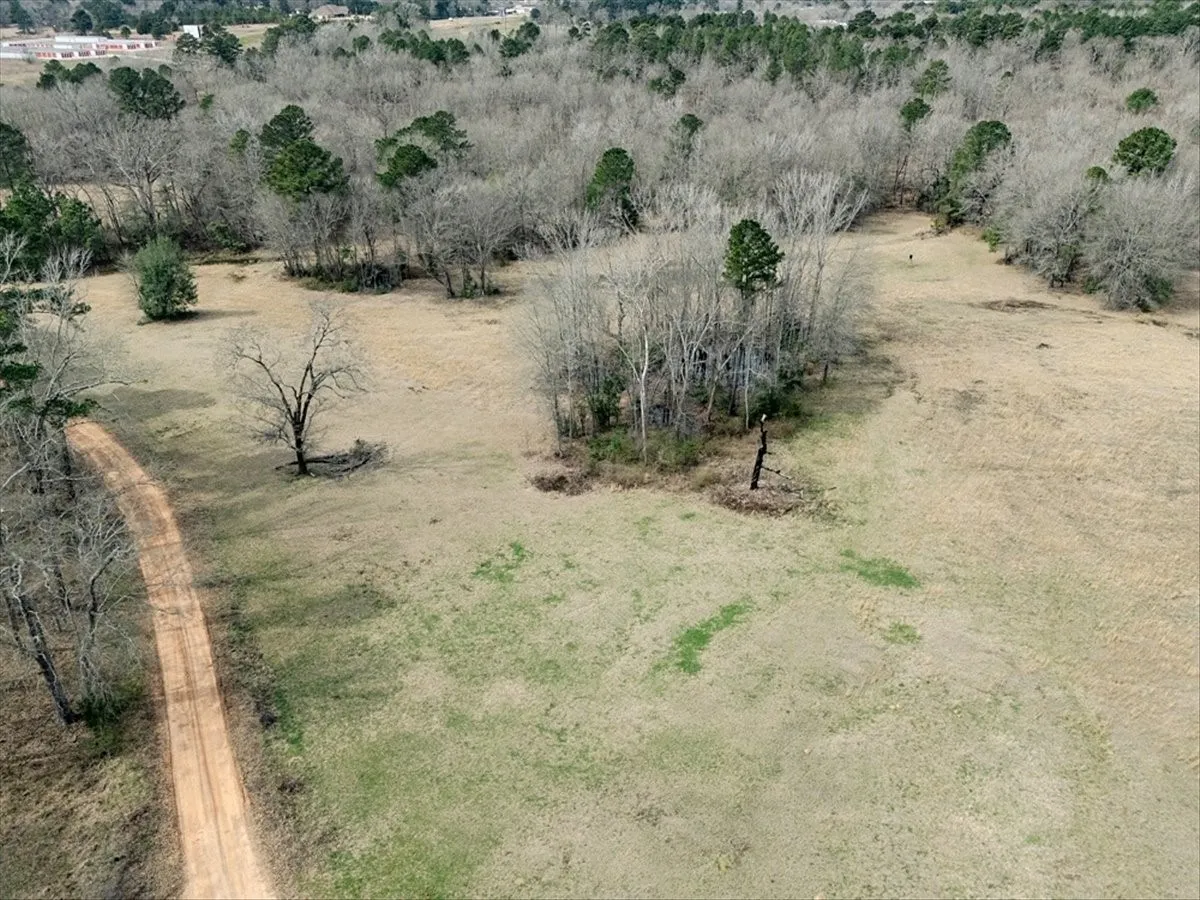 Unimproved Land For Sale in Upshur County , 1425 State Highway 300, Gilmer, Texas 75645, 0, 0, Garage spaces, 0 Sqft, built in 0, Price $2,300,000, mls#21334563, Real Estate Agent in Gilmer, Homes For Sale in Upshur county, Homes For Sale in Gilmer, Realtor in Gilmer Texas, Real Estate Brokerage Independent Realty Texas, Luminita Cordes Realtor