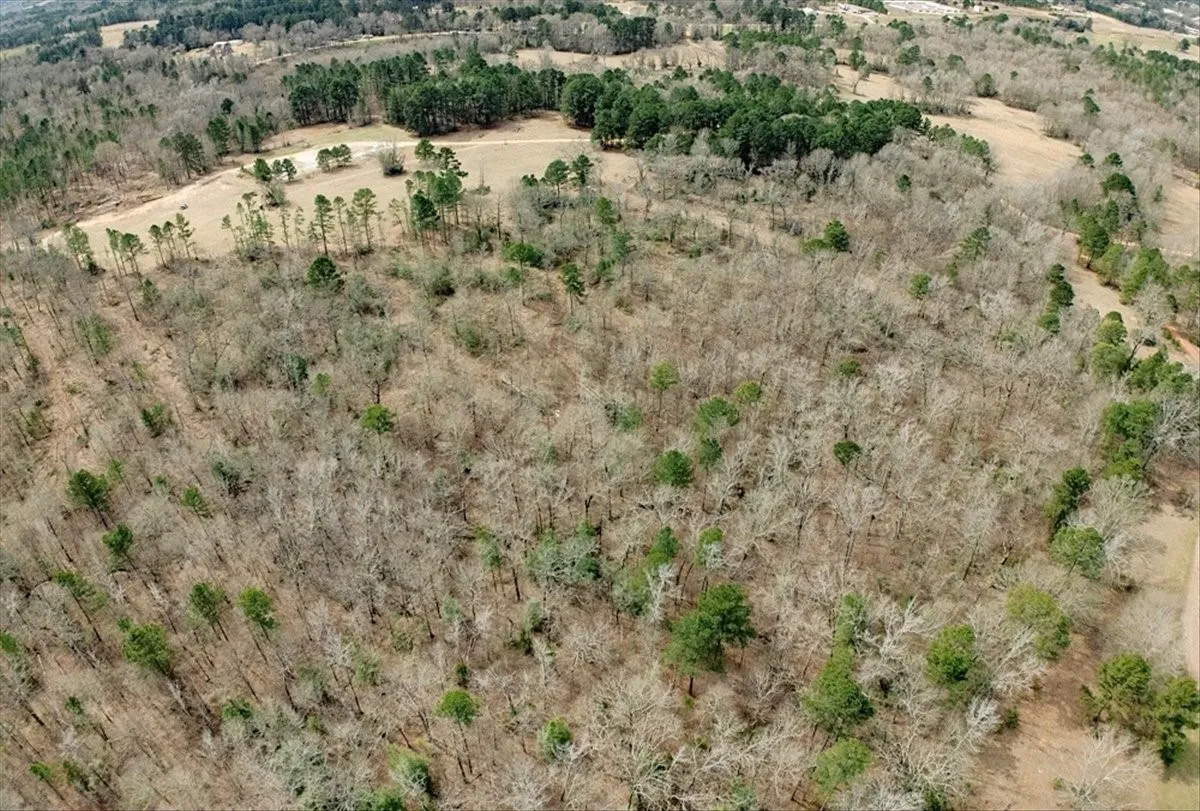 Unimproved Land For Sale in Upshur County , 1425 State Highway 300, Gilmer, Texas 75645, 0, 0, Garage spaces, 0 Sqft, built in 0, Price $2,300,000, mls#21334563, Real Estate Agent in Gilmer, Homes For Sale in Upshur county, Homes For Sale in Gilmer, Realtor in Gilmer Texas, Real Estate Brokerage Independent Realty Texas, Luminita Cordes Realtor