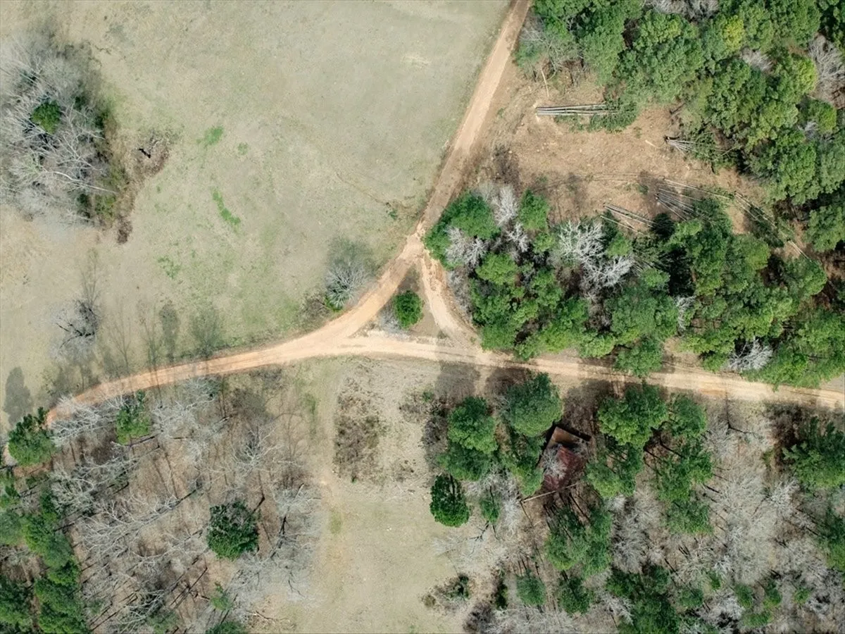 Unimproved Land For Sale in Upshur County , 1425 State Highway 300, Gilmer, Texas 75645, 0, 0, Garage spaces, 0 Sqft, built in 0, Price $2,300,000, mls#21334563, Real Estate Agent in Gilmer, Homes For Sale in Upshur county, Homes For Sale in Gilmer, Realtor in Gilmer Texas, Real Estate Brokerage Independent Realty Texas, Luminita Cordes Realtor