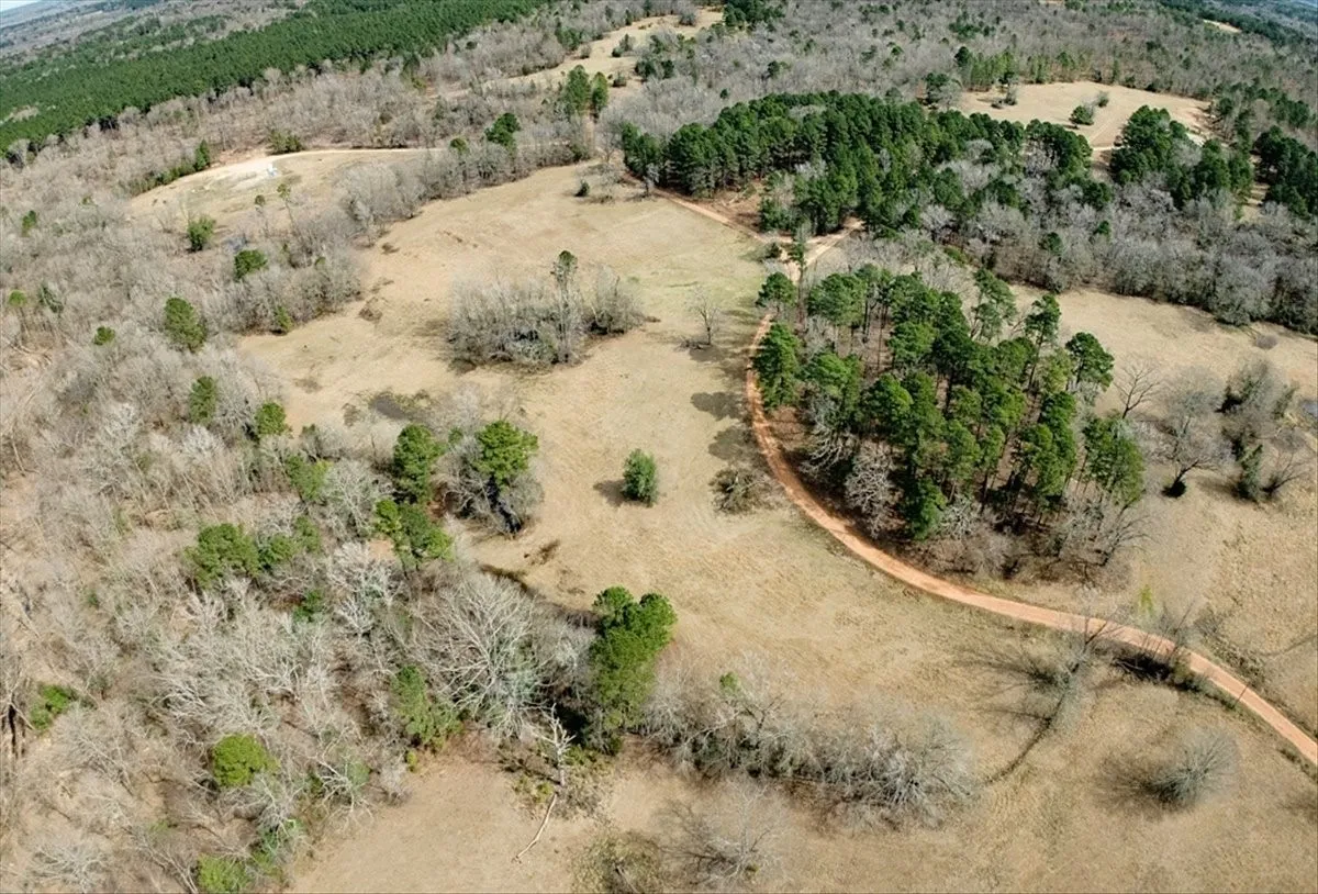 Unimproved Land For Sale in Upshur County , 1425 State Highway 300, Gilmer, Texas 75645, 0, 0, Garage spaces, 0 Sqft, built in 0, Price $2,300,000, mls#21334563, Real Estate Agent in Gilmer, Homes For Sale in Upshur county, Homes For Sale in Gilmer, Realtor in Gilmer Texas, Real Estate Brokerage Independent Realty Texas, Luminita Cordes Realtor