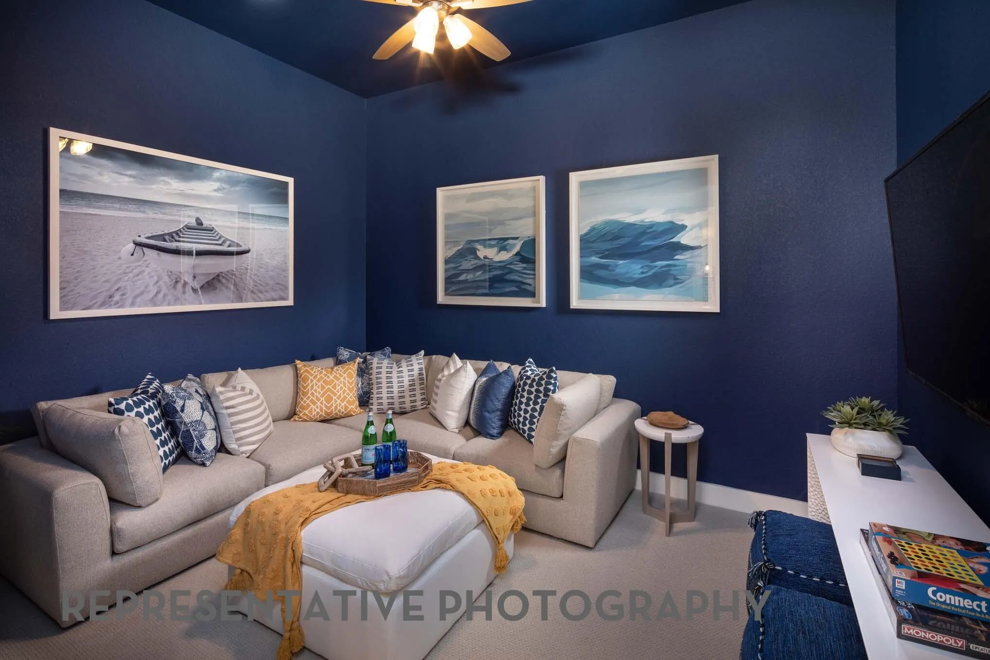 Entertainment Room
