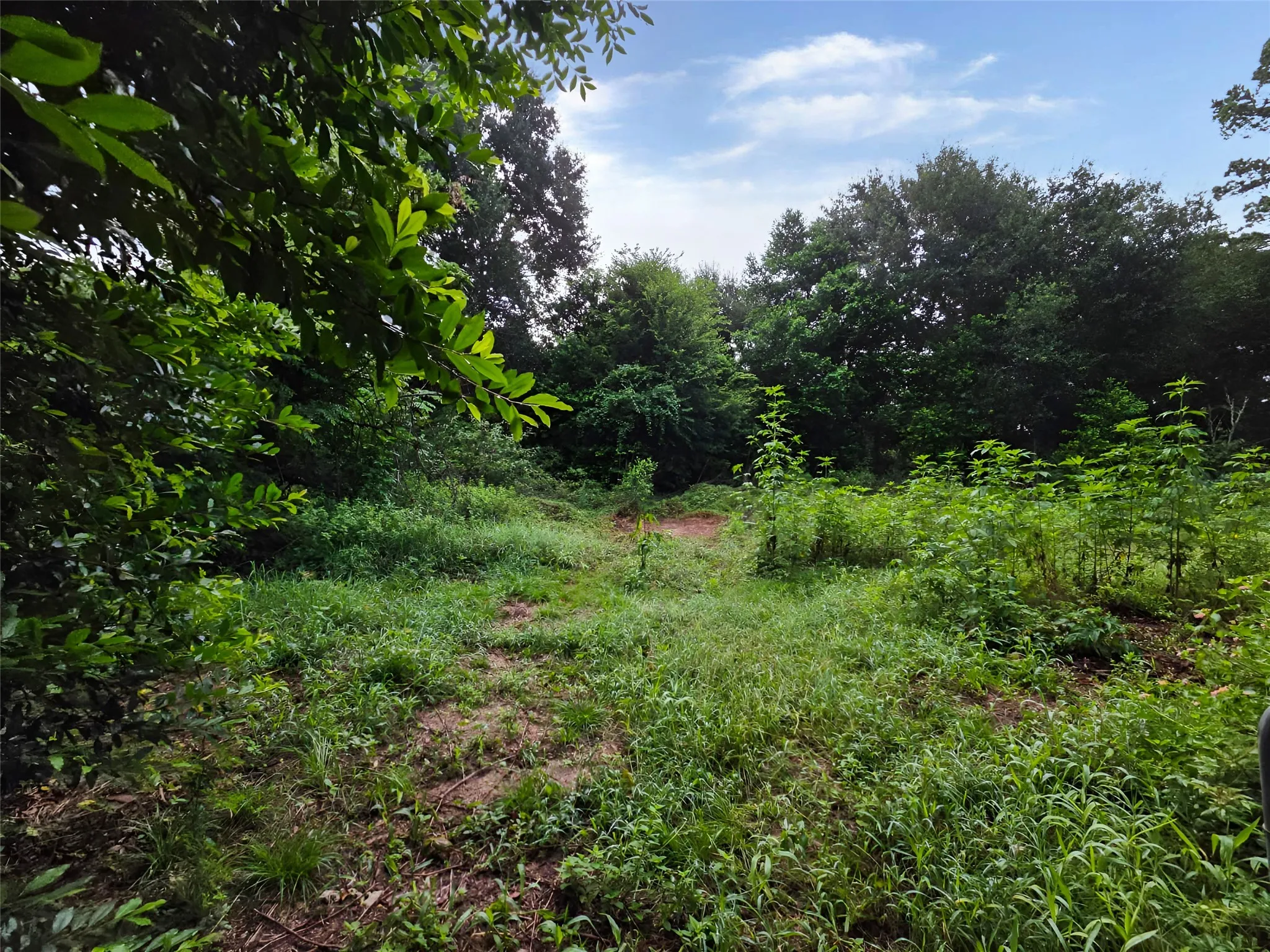 Single Family Residence For Sale in Houston County , 416 Sycamore Street, Grapeland, Texas 75844, 2 Bedroom, 1 Bathroom, Garage spaces, 1,182 Sqft, built in 1942, mls#21334648, Real Estate Agent in Grapeland, Homes For Sale in Houston county, Homes For Sale in Grapeland, Realtor in Grapeland Texas, Real Estate Brokerage Independent Realty Texas, Luminita Cordes Realtor