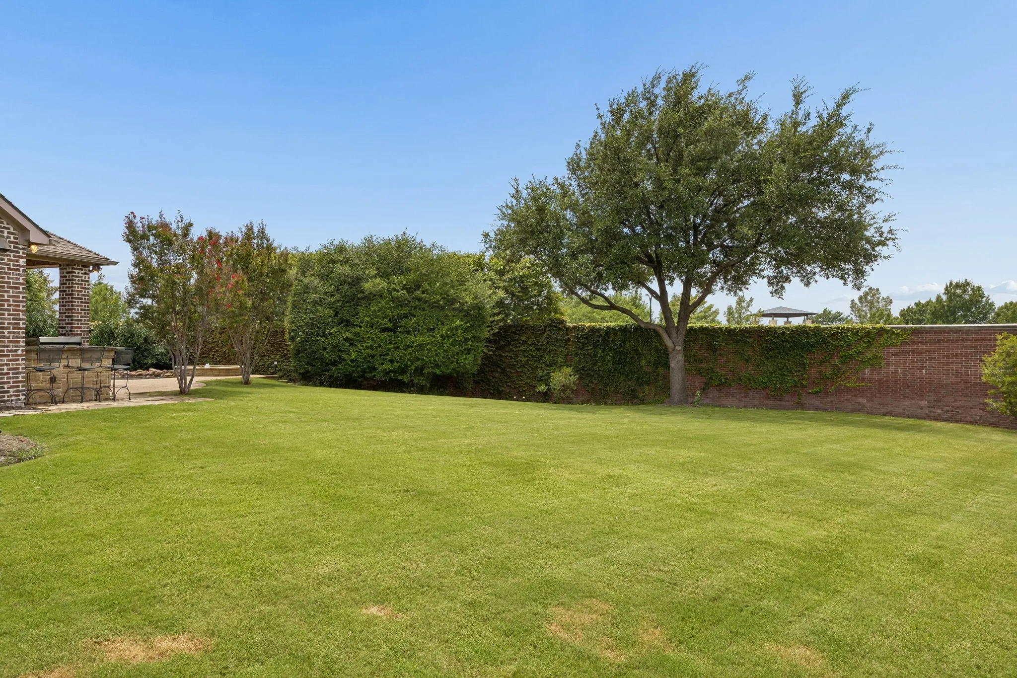 Wow ... look at this yard space for pets and play