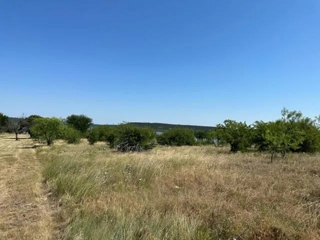 Unimproved Land For Sale in Palo Pinto County , 800 S Clear Cove Court, Graford, Texas 76449, 0, 0, Garage spaces, 0 Sqft, built in 0, mls#21334652, Real Estate Agent in Graford, Homes For Sale in Palo Pinto county, Homes For Sale in Graford, Realtor in Graford Texas, Real Estate Brokerage Independent Realty Texas, Luminita Cordes Realtor