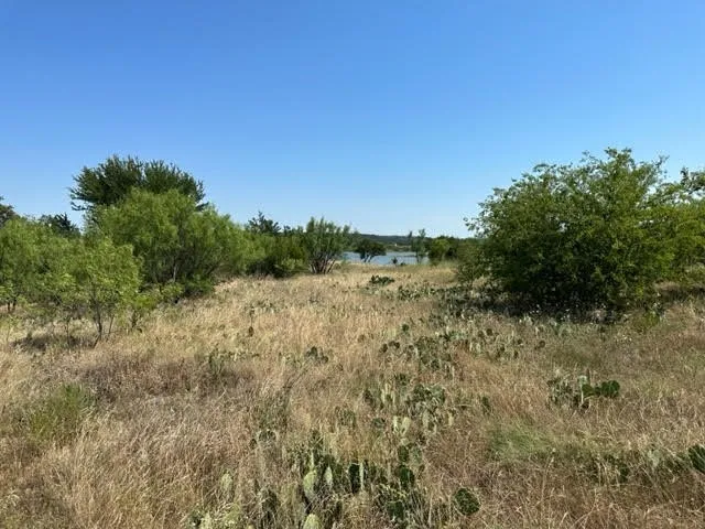 Unimproved Land For Sale in Palo Pinto County , 800 S Clear Cove Court, Graford, Texas 76449, 0, 0, Garage spaces, 0 Sqft, built in 0, mls#21334652, Real Estate Agent in Graford, Homes For Sale in Palo Pinto county, Homes For Sale in Graford, Realtor in Graford Texas, Real Estate Brokerage Independent Realty Texas, Luminita Cordes Realtor