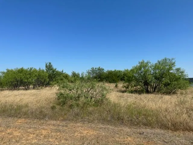 Unimproved Land For Sale in Palo Pinto County , 800 S Clear Cove Court, Graford, Texas 76449, 0, 0, Garage spaces, 0 Sqft, built in 0, mls#21334652, Real Estate Agent in Graford, Homes For Sale in Palo Pinto county, Homes For Sale in Graford, Realtor in Graford Texas, Real Estate Brokerage Independent Realty Texas, Luminita Cordes Realtor