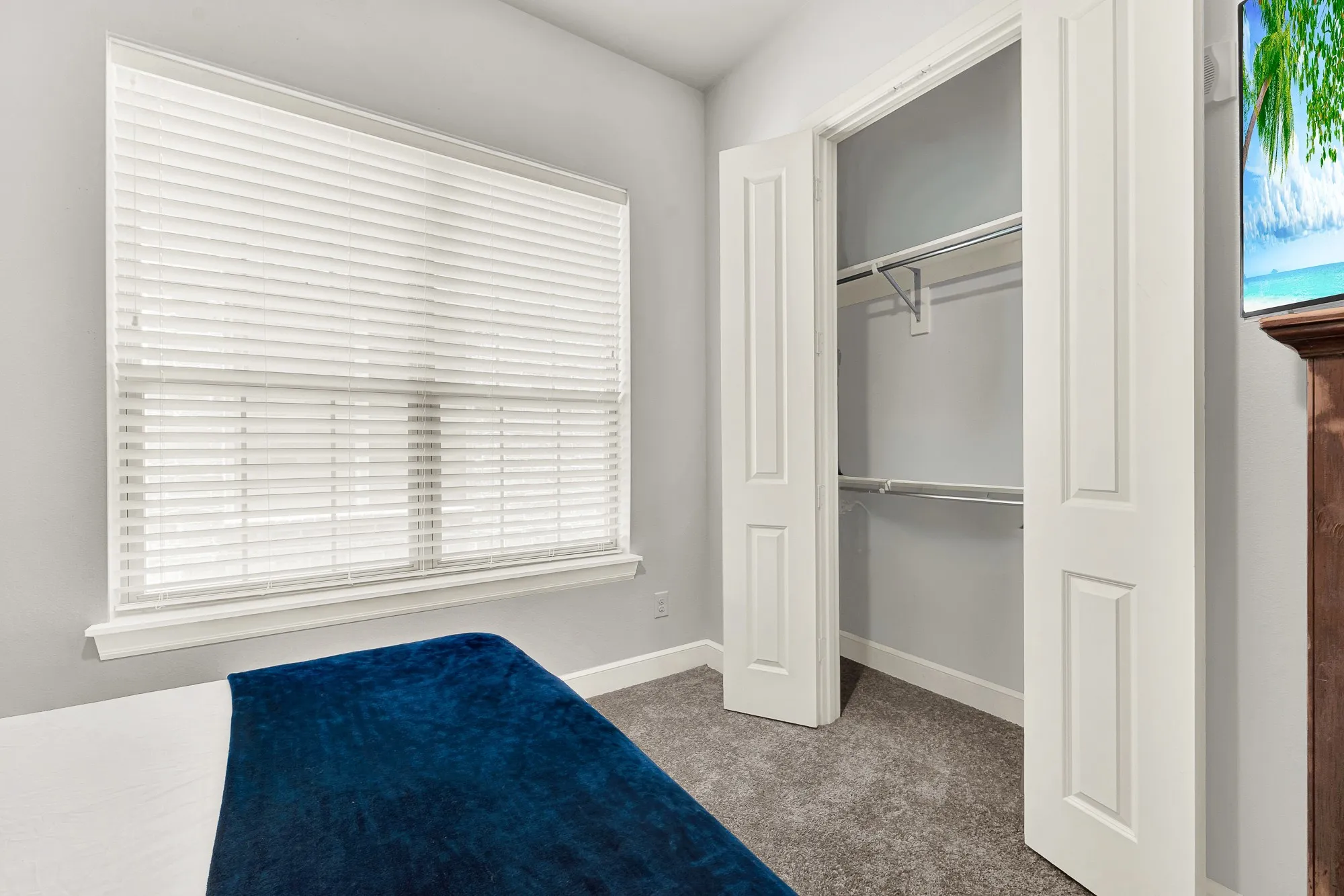 Bedroom featuring a large window with horizontal blinds, neutral wall paint, and gray carpet