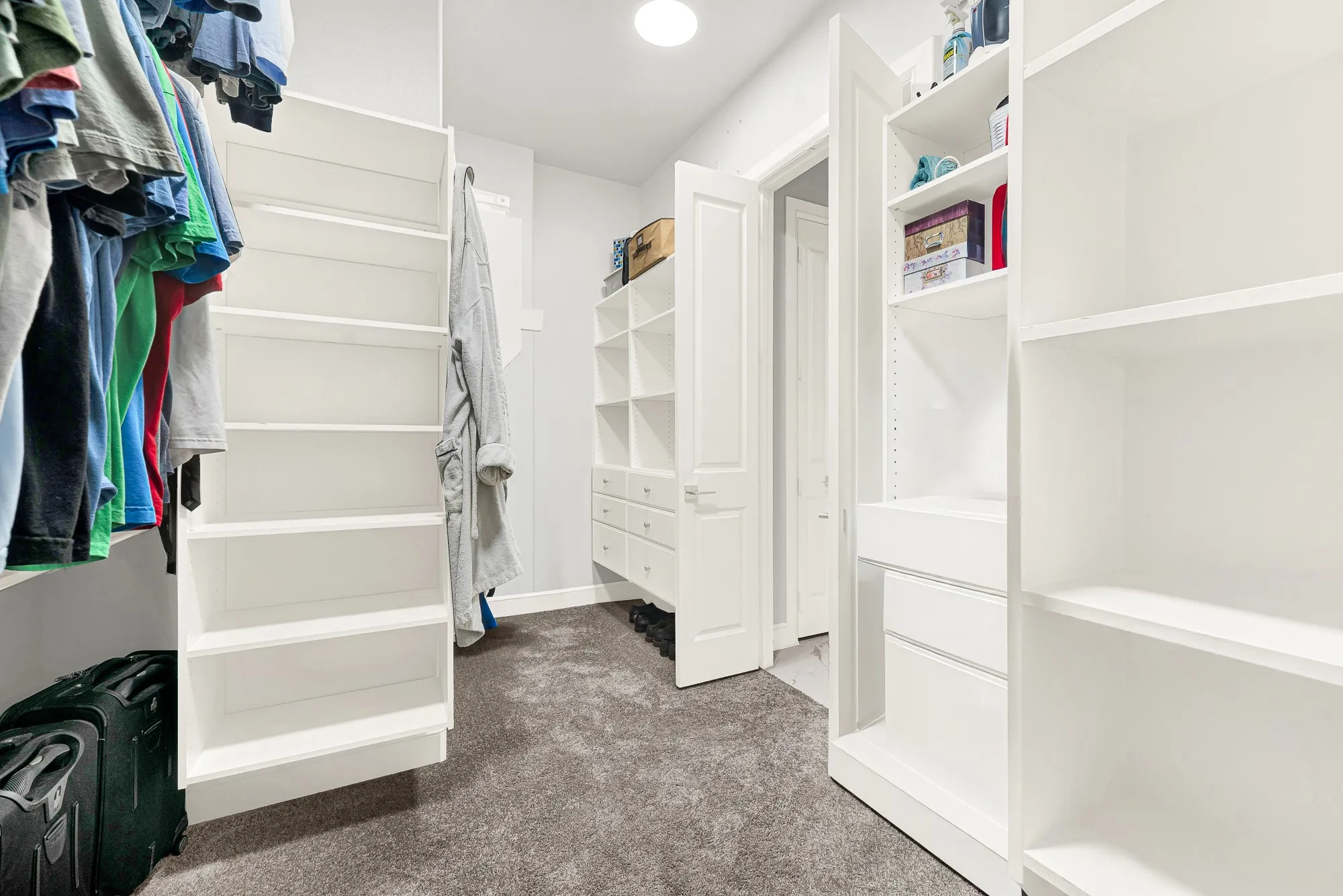 Spacious closet featuring built-in white shelving, integrated drawers, hanging storage, and gray carpeting