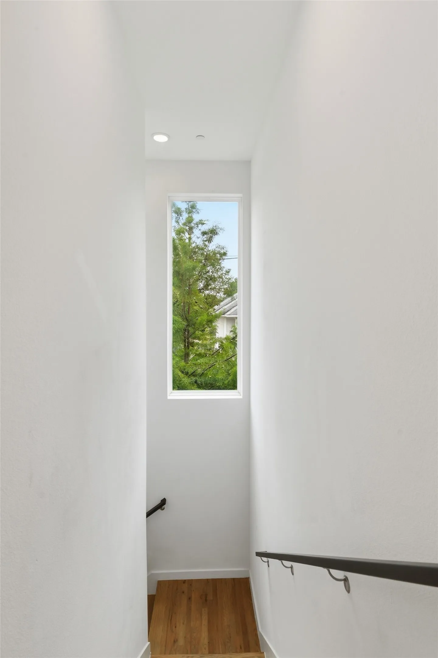 Beautiful window overlooking mature spruce trees.