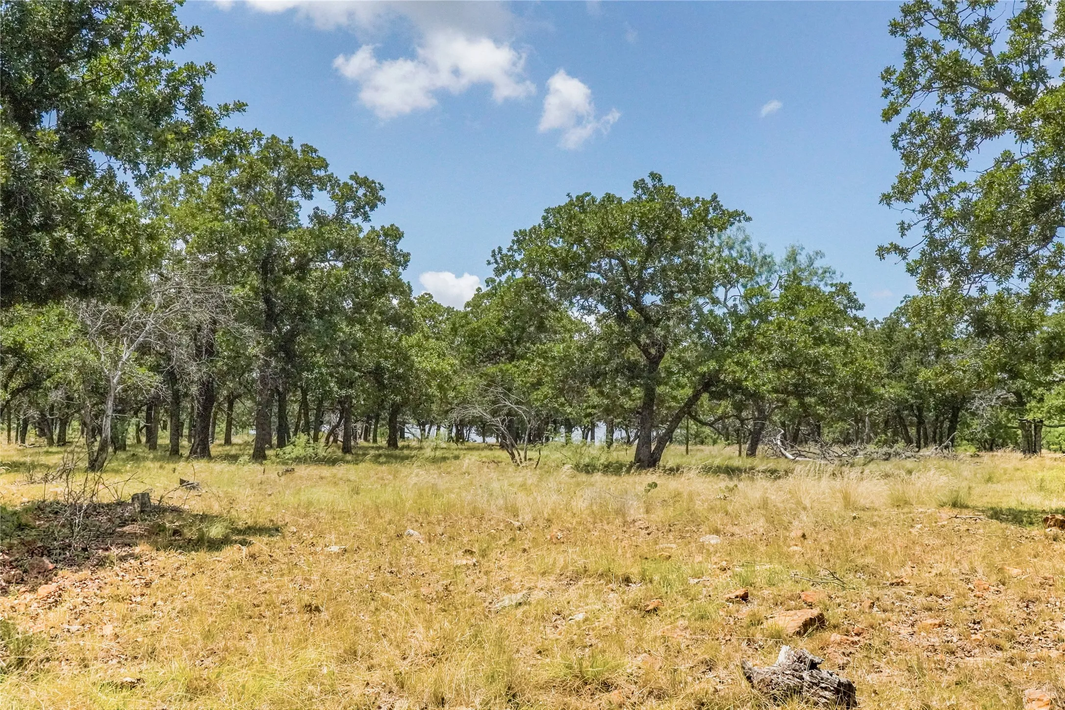 Unimproved Land For Sale in Jack County , 16.5 Acres Burwick Road, Jacksboro, Texas 76458, 0, 0, Garage spaces, 0 Sqft, built in 0, Price $264,000, mls#21334663, Real Estate Agent in Jacksboro, Homes For Sale in Jack county, Homes For Sale in Jacksboro, Realtor in Jacksboro Texas, Real Estate Brokerage Independent Realty Texas, Luminita Cordes Realtor