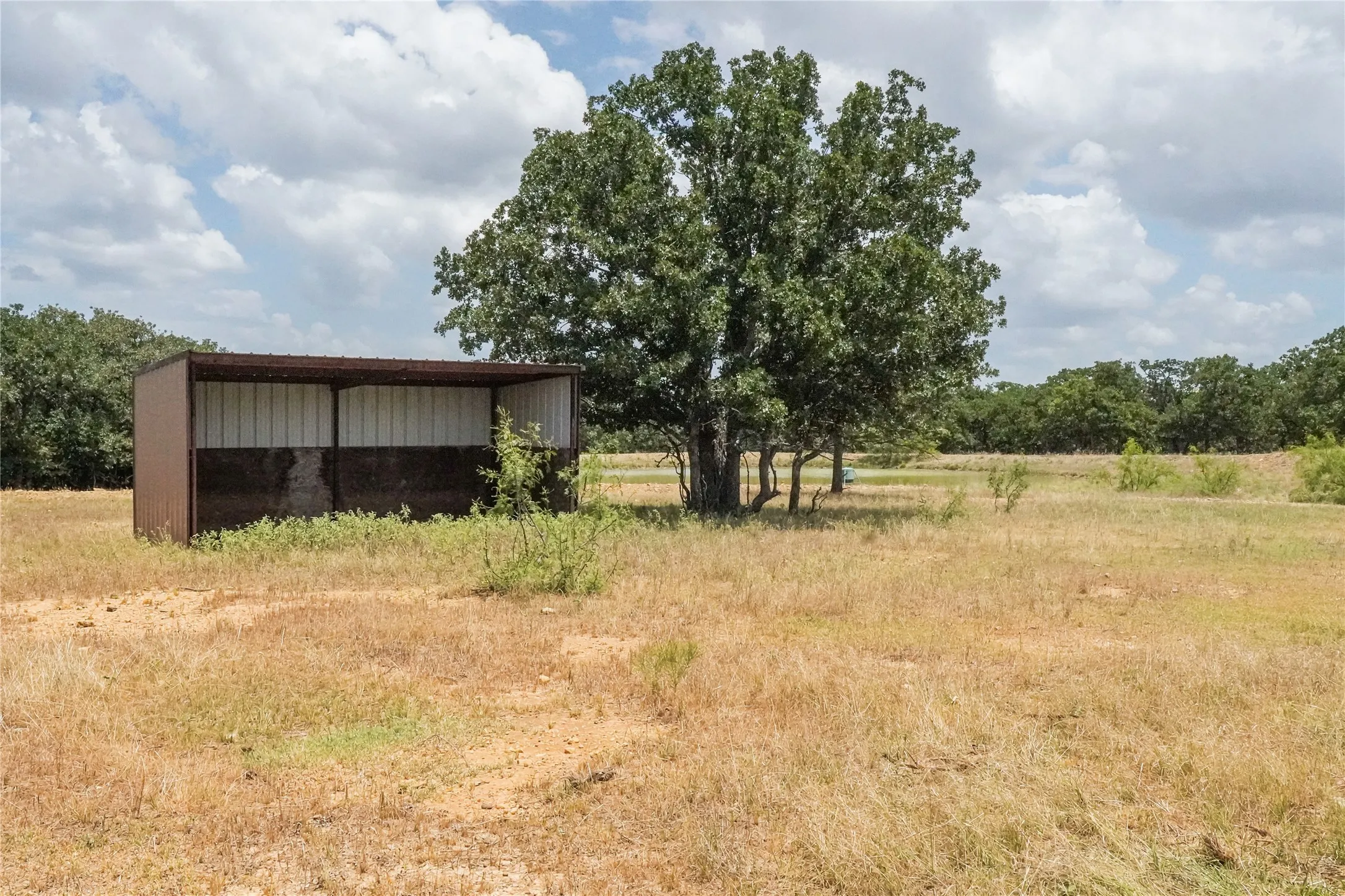 Unimproved Land For Sale in Jack County , 16.5 Acres Burwick Road, Jacksboro, Texas 76458, 0, 0, Garage spaces, 0 Sqft, built in 0, Price $264,000, mls#21334663, Real Estate Agent in Jacksboro, Homes For Sale in Jack county, Homes For Sale in Jacksboro, Realtor in Jacksboro Texas, Real Estate Brokerage Independent Realty Texas, Luminita Cordes Realtor