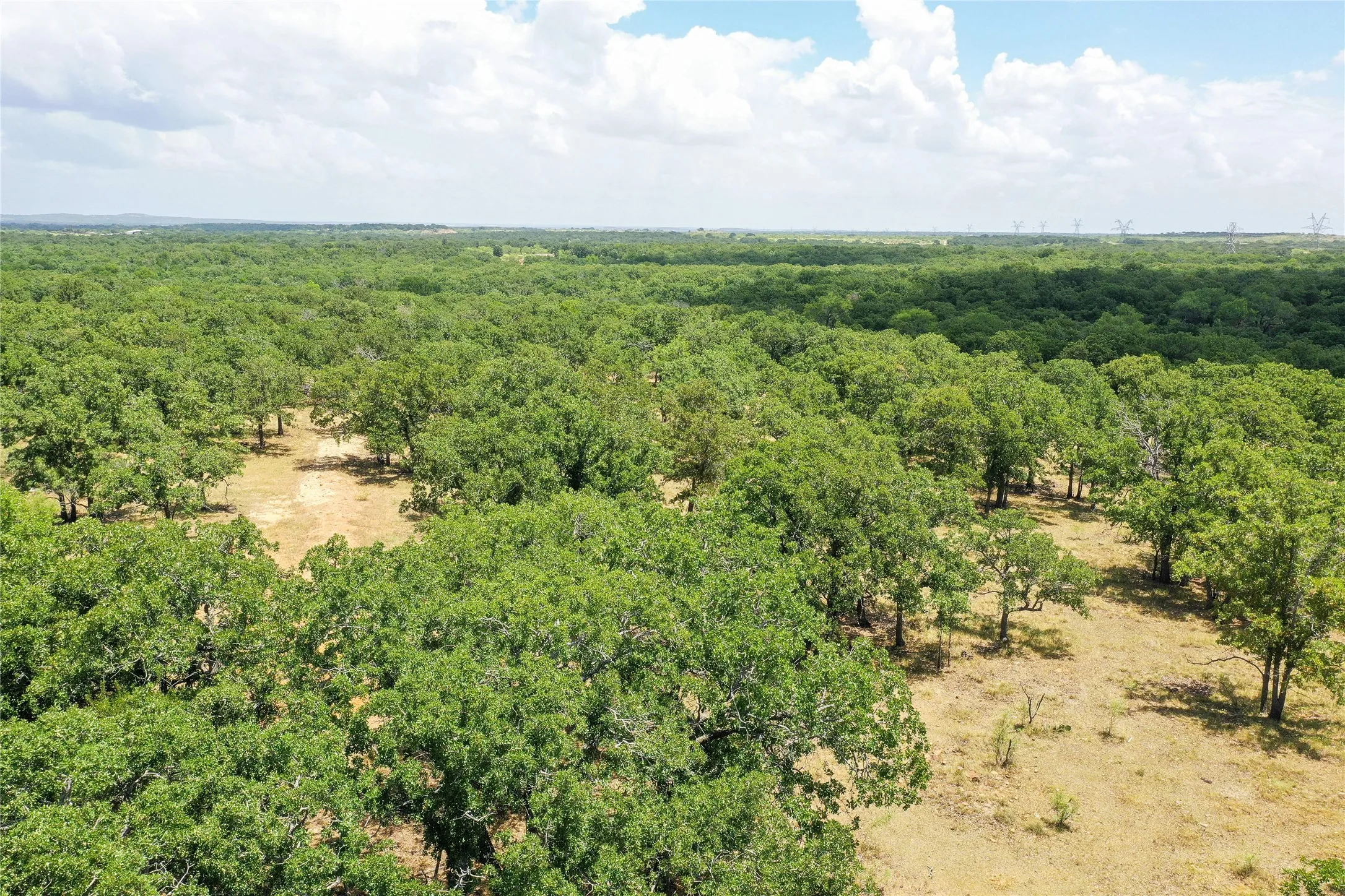 Unimproved Land For Sale in Jack County , 16.5 Acres Burwick Road, Jacksboro, Texas 76458, 0, 0, Garage spaces, 0 Sqft, built in 0, Price $264,000, mls#21334663, Real Estate Agent in Jacksboro, Homes For Sale in Jack county, Homes For Sale in Jacksboro, Realtor in Jacksboro Texas, Real Estate Brokerage Independent Realty Texas, Luminita Cordes Realtor