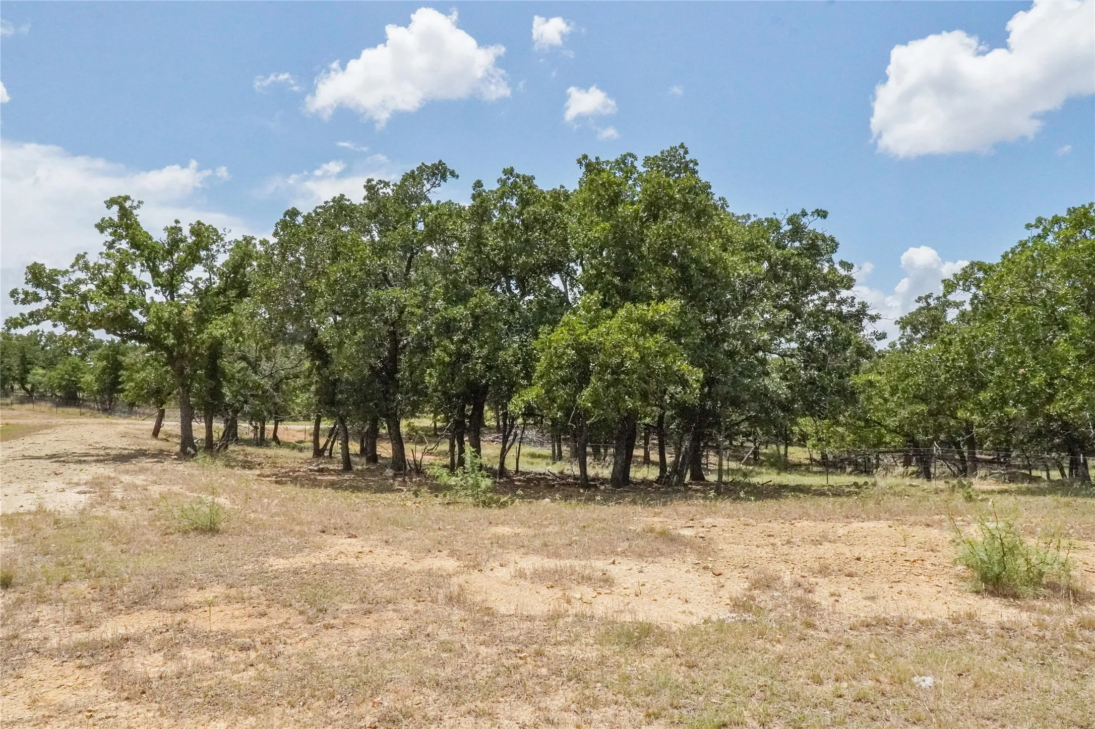Unimproved Land For Sale in Jack County , 16.5 Acres Burwick Road, Jacksboro, Texas 76458, 0, 0, Garage spaces, 0 Sqft, built in 0, Price $264,000, mls#21334663, Real Estate Agent in Jacksboro, Homes For Sale in Jack county, Homes For Sale in Jacksboro, Realtor in Jacksboro Texas, Real Estate Brokerage Independent Realty Texas, Luminita Cordes Realtor