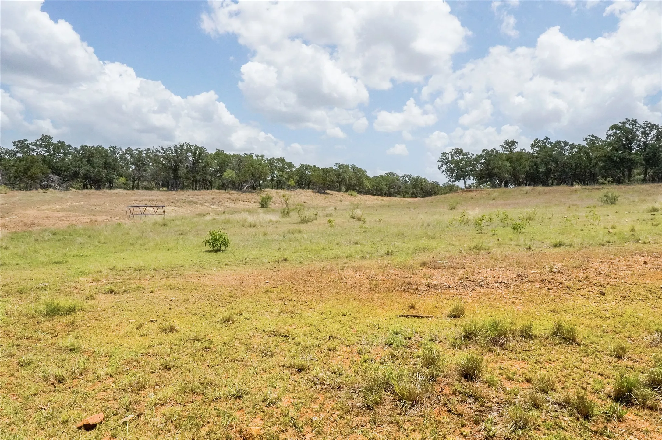 Unimproved Land For Sale in Jack County , 16.5 Acres Burwick Road, Jacksboro, Texas 76458, 0, 0, Garage spaces, 0 Sqft, built in 0, Price $264,000, mls#21334663, Real Estate Agent in Jacksboro, Homes For Sale in Jack county, Homes For Sale in Jacksboro, Realtor in Jacksboro Texas, Real Estate Brokerage Independent Realty Texas, Luminita Cordes Realtor
