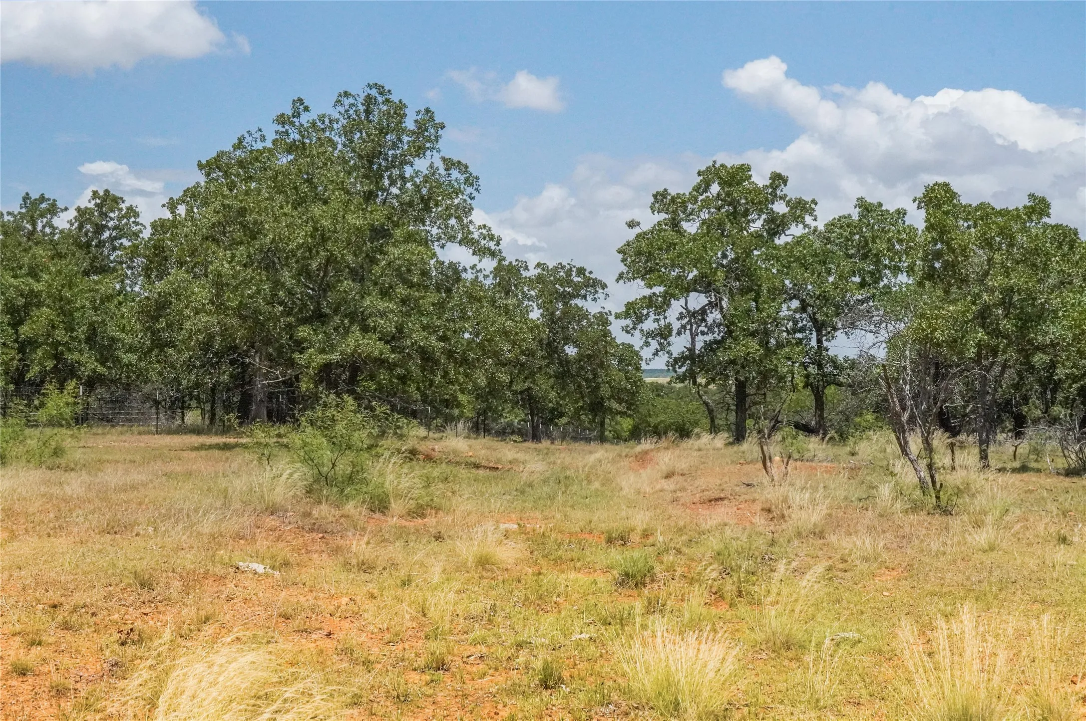 Unimproved Land For Sale in Jack County , 16.5 Acres Burwick Road, Jacksboro, Texas 76458, 0, 0, Garage spaces, 0 Sqft, built in 0, Price $264,000, mls#21334663, Real Estate Agent in Jacksboro, Homes For Sale in Jack county, Homes For Sale in Jacksboro, Realtor in Jacksboro Texas, Real Estate Brokerage Independent Realty Texas, Luminita Cordes Realtor